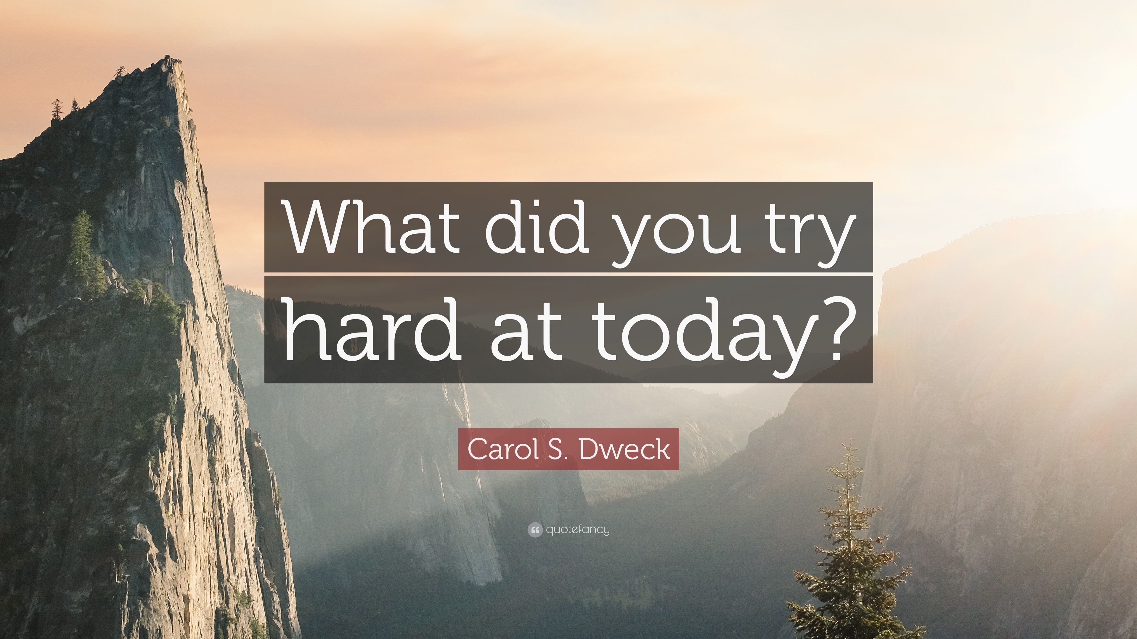 Carol S. Dweck Quote: “What did you try hard at today?” 12