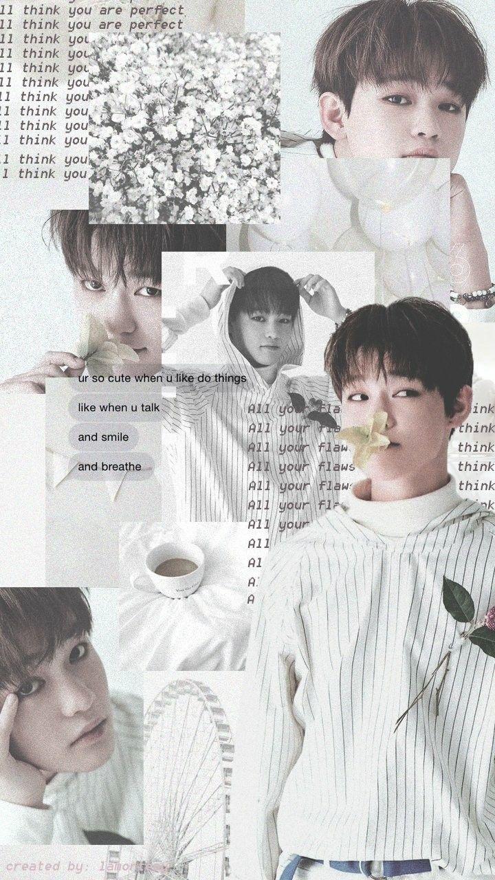Chenle wallpaper. NCT. Wallpaper, Lace tops and Tops