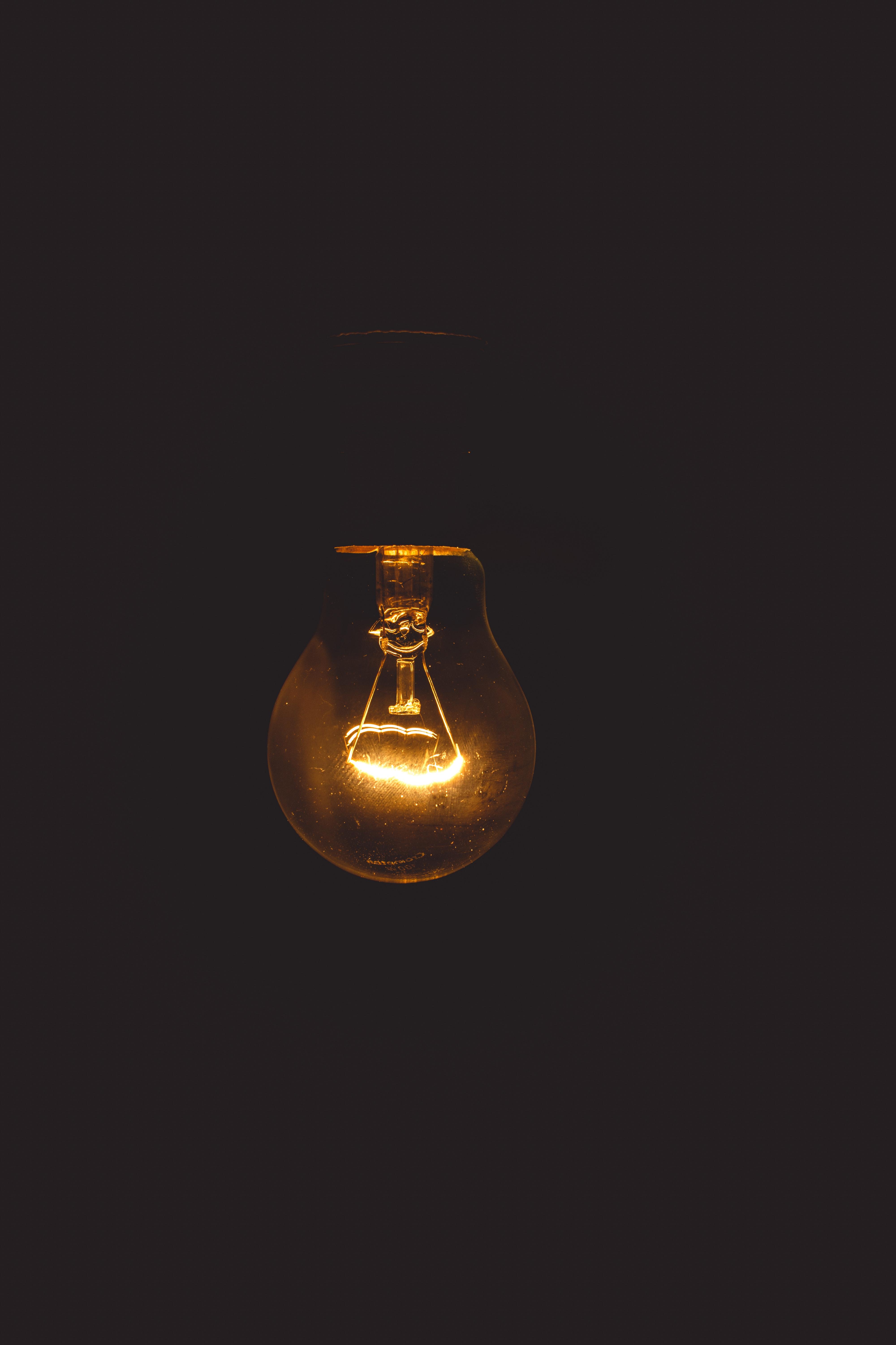 Beautiful Bulb Picture