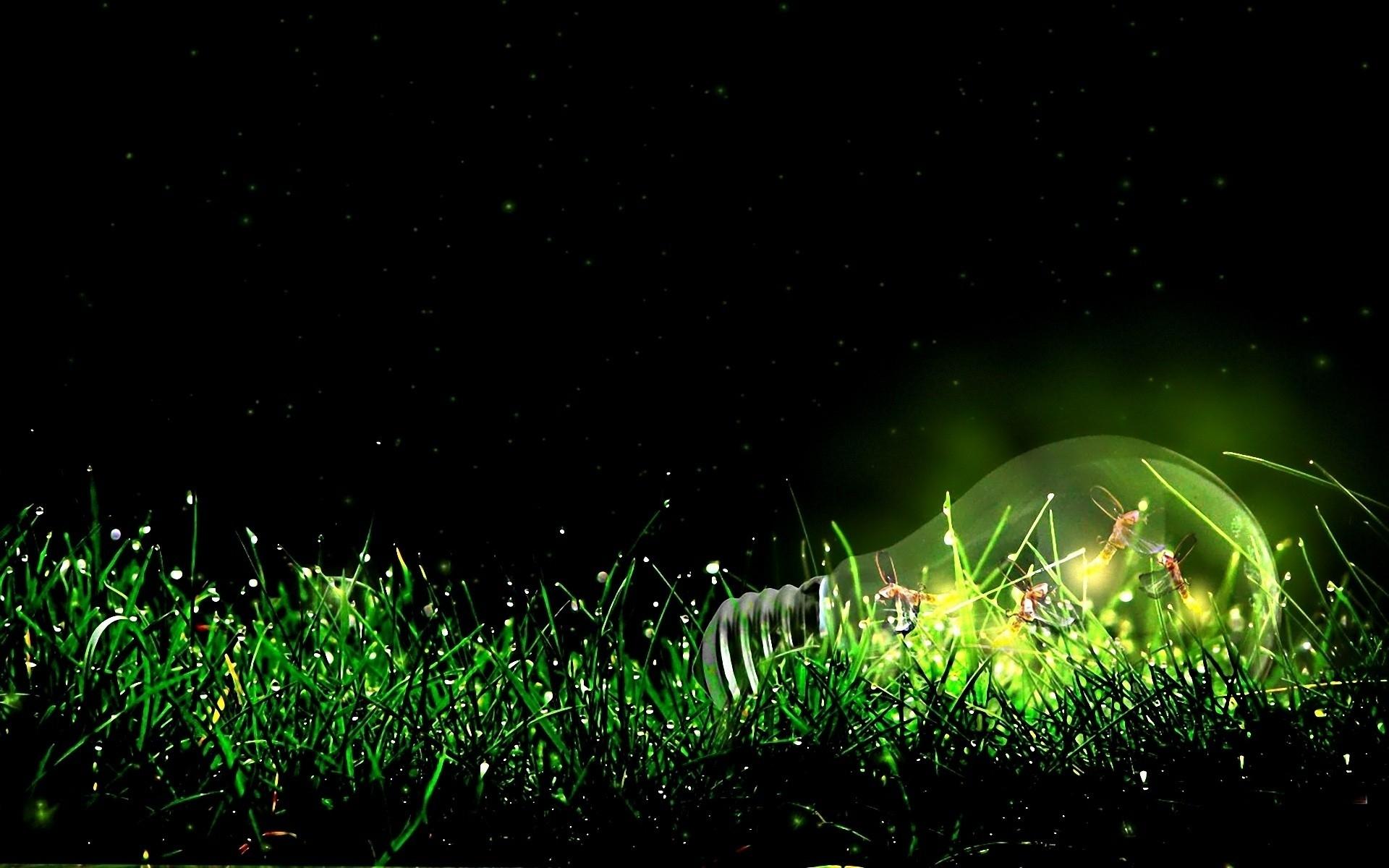 Insects Bulb Light Grass wallpaper. Insects Bulb Light Grass stock
