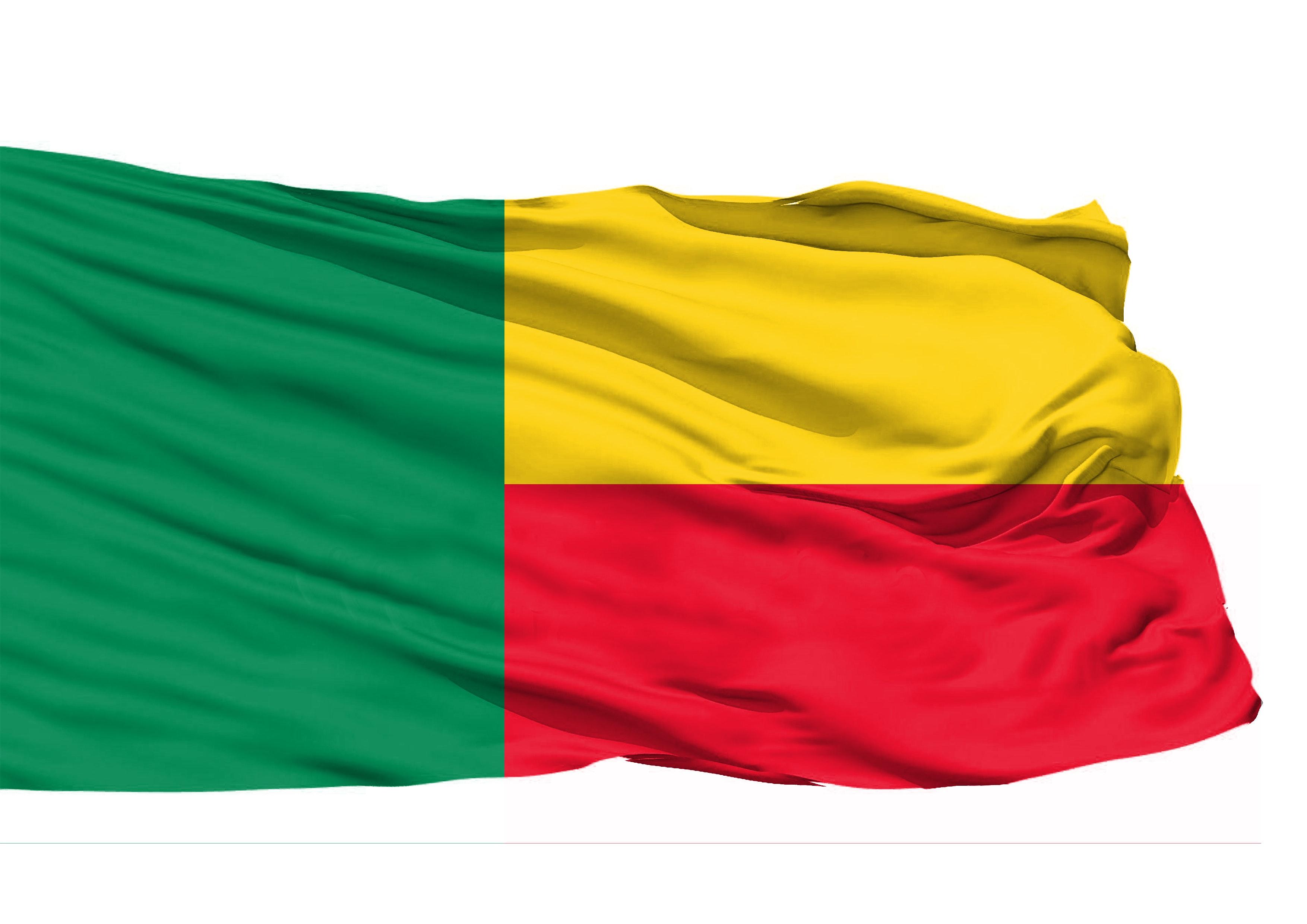 Free of Benin 3D Flag