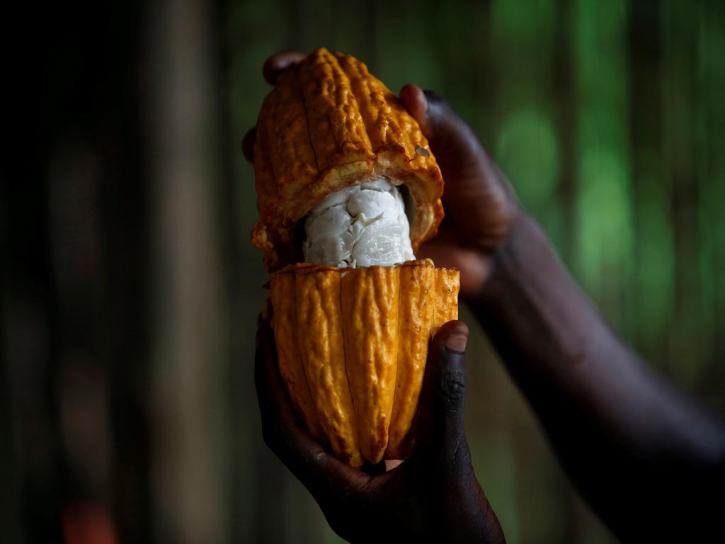 Exposure To Debt Stricken Cocoa Exporter Rocks Ivory Coast Banks