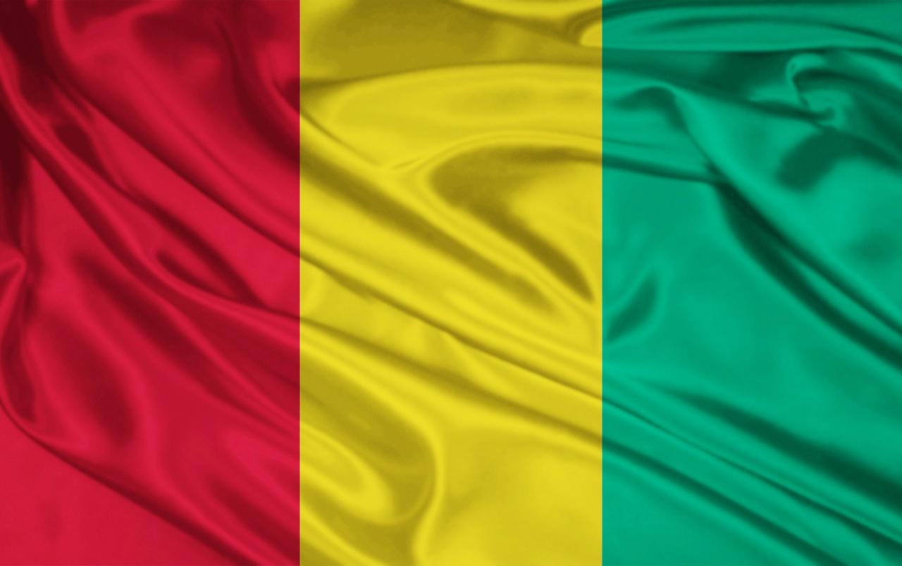 Guinea Flag wallpaper. Guinea Flag