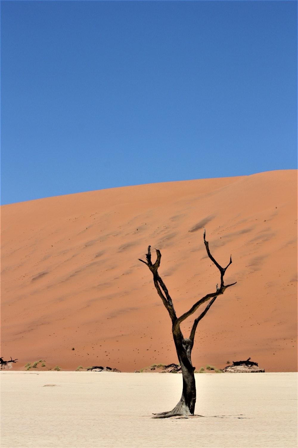 Sossusvlei, Namibia Picture. Download Free Image