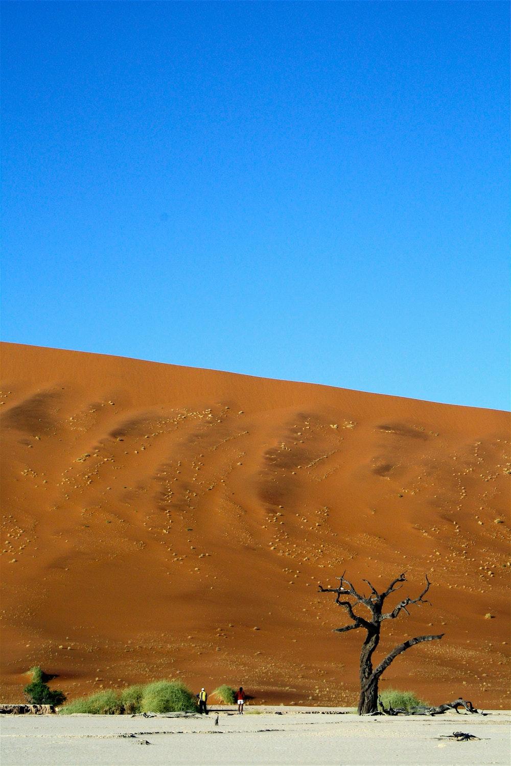 Sossusvlei Sand Dunes, Namib Naukluft Park, Namibia Picture