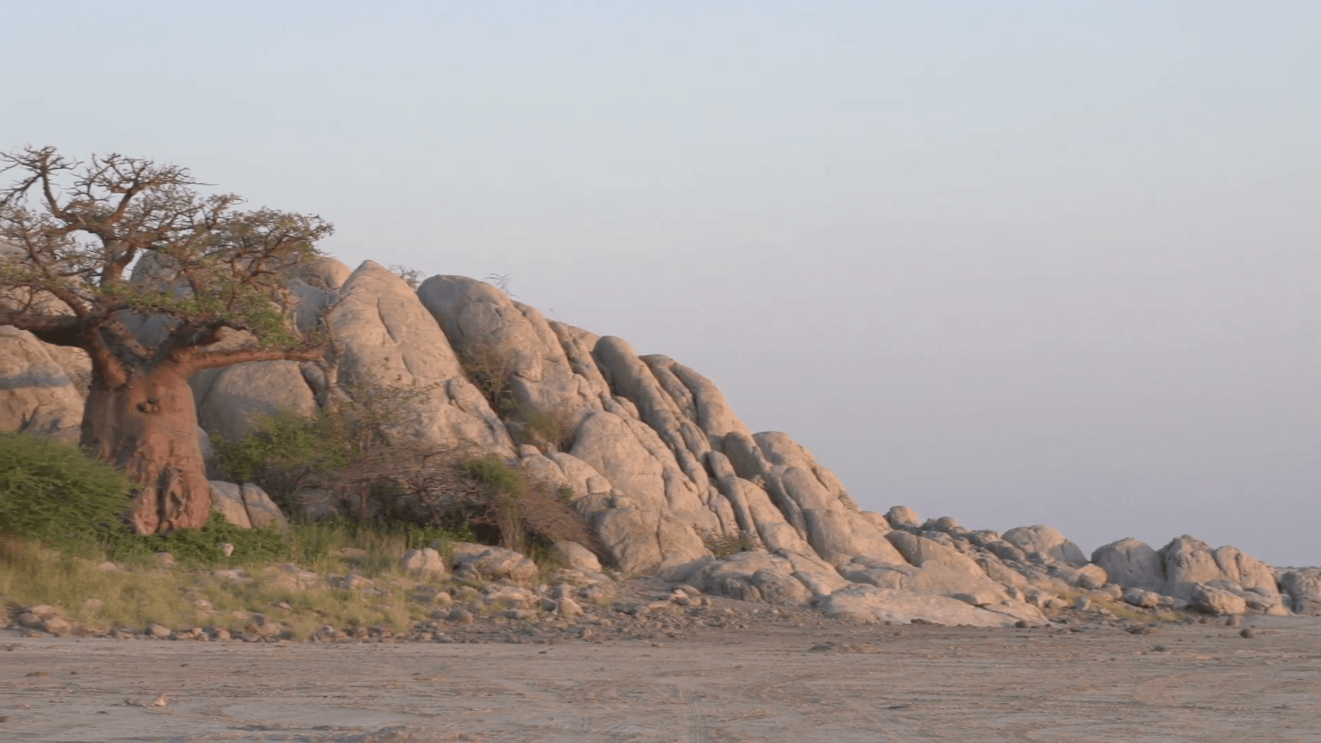Panning shot of Makgadikgadi Pans and the edge of Kubu Island