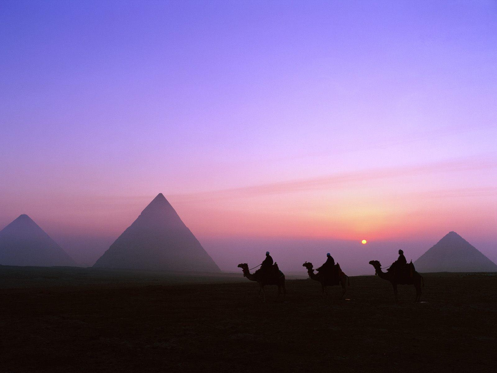 Sun, Egypt, camels, pyramids, Great Pyramid of Giza wallpaper