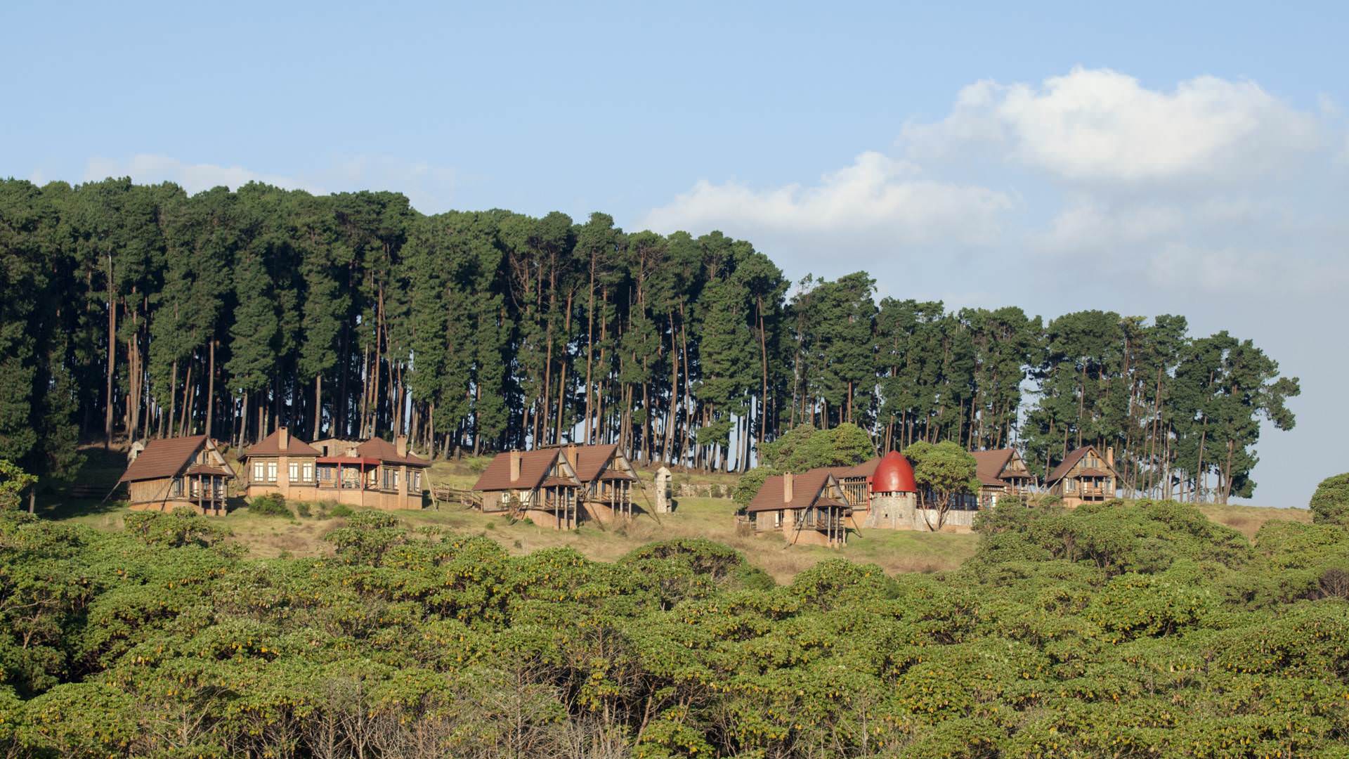 Chelinda Lodge Nationalpark