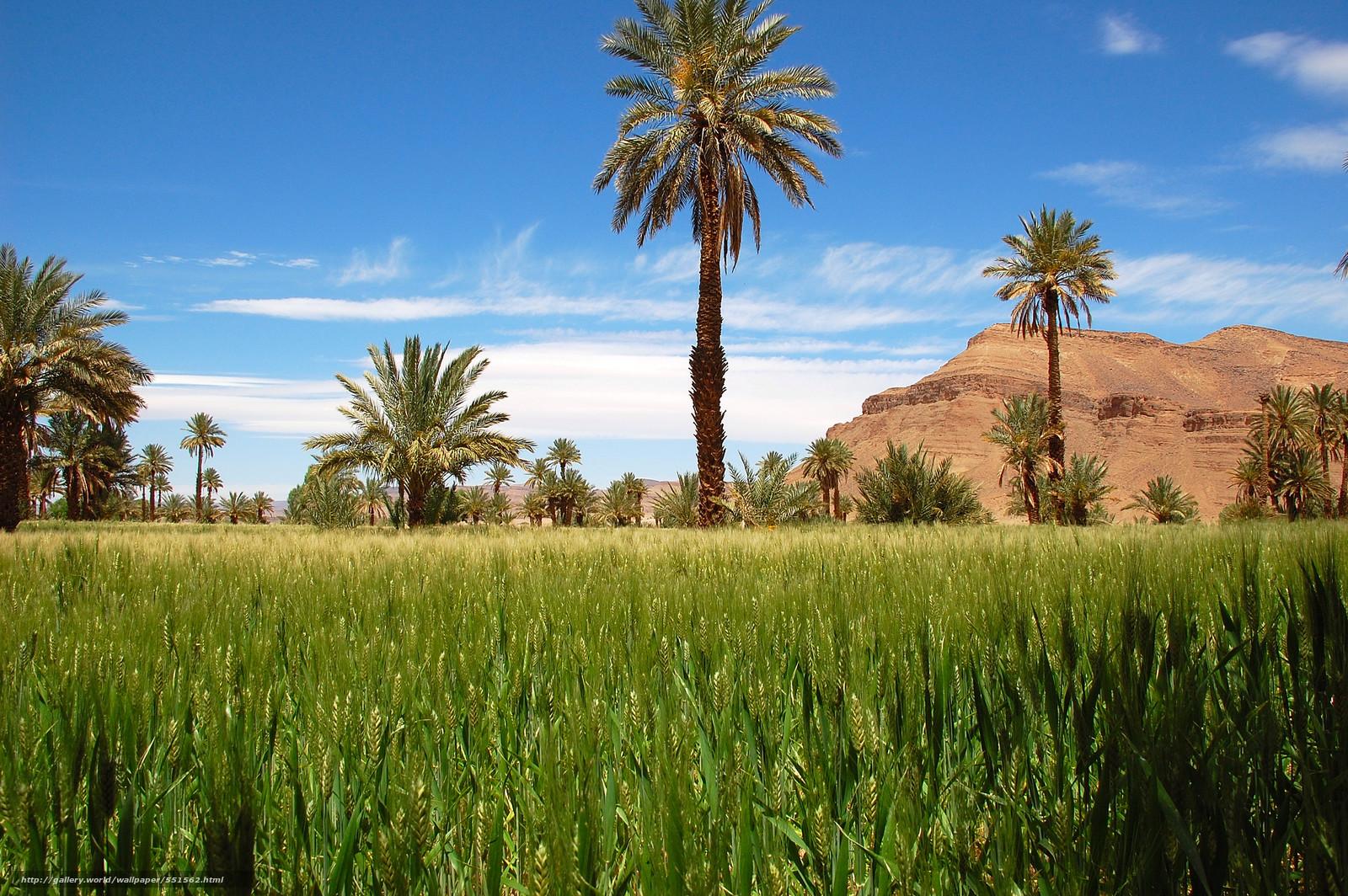 Download wallpaper Draa Valley, Morocco, landscape free desktop