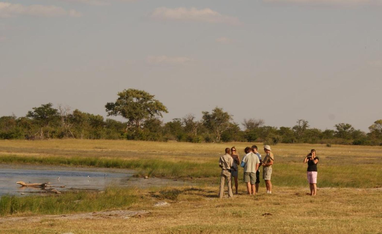 Botswana Archives African Safaris
