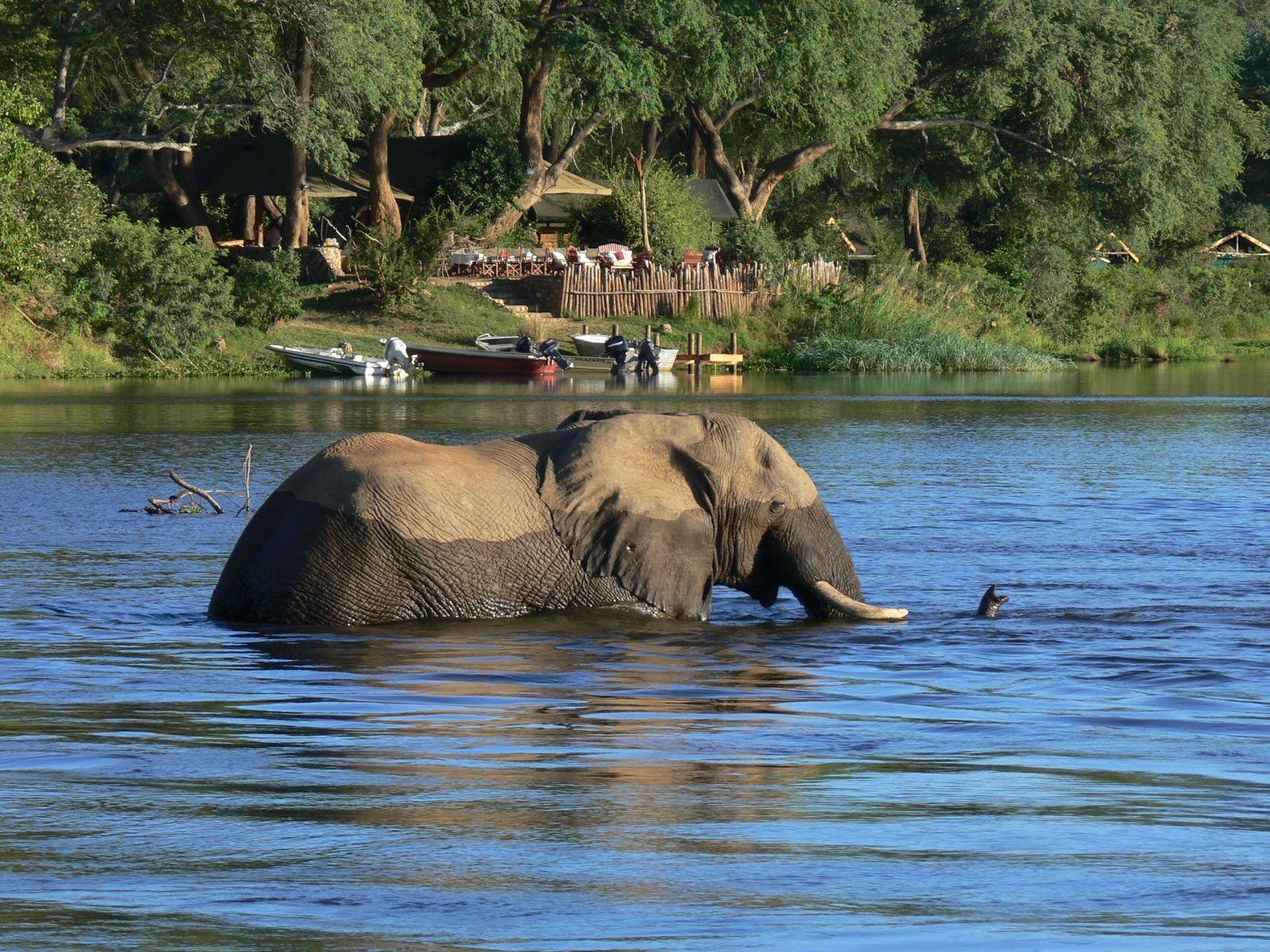 Замбези национальный парк
