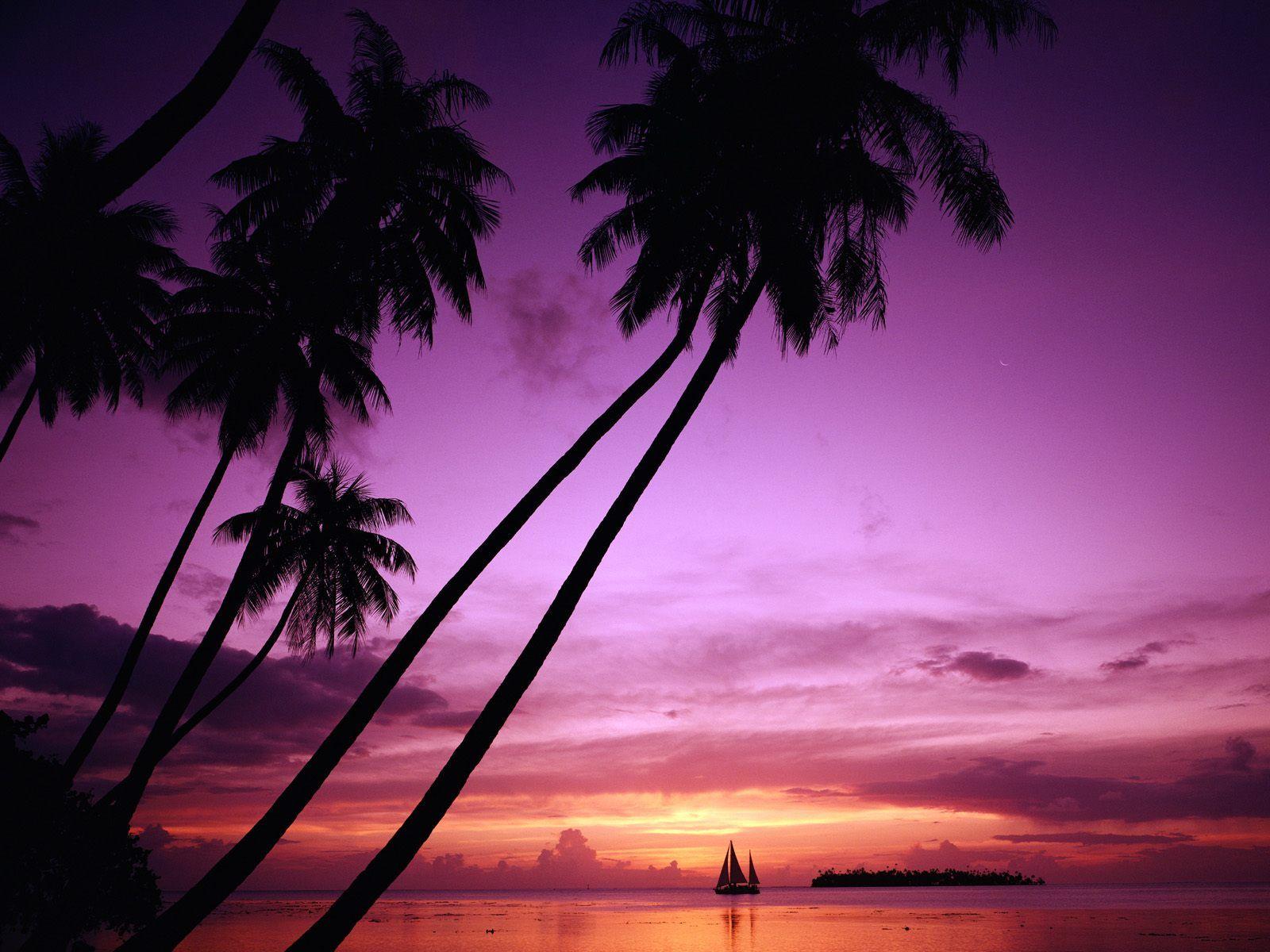 Tropical Paradise Background. You are in: Picture > Wallpaper
