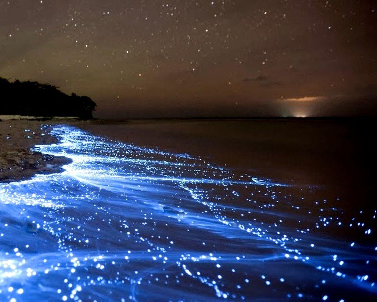 Sea of Stars on Vaadhoo Island [1600x1200]