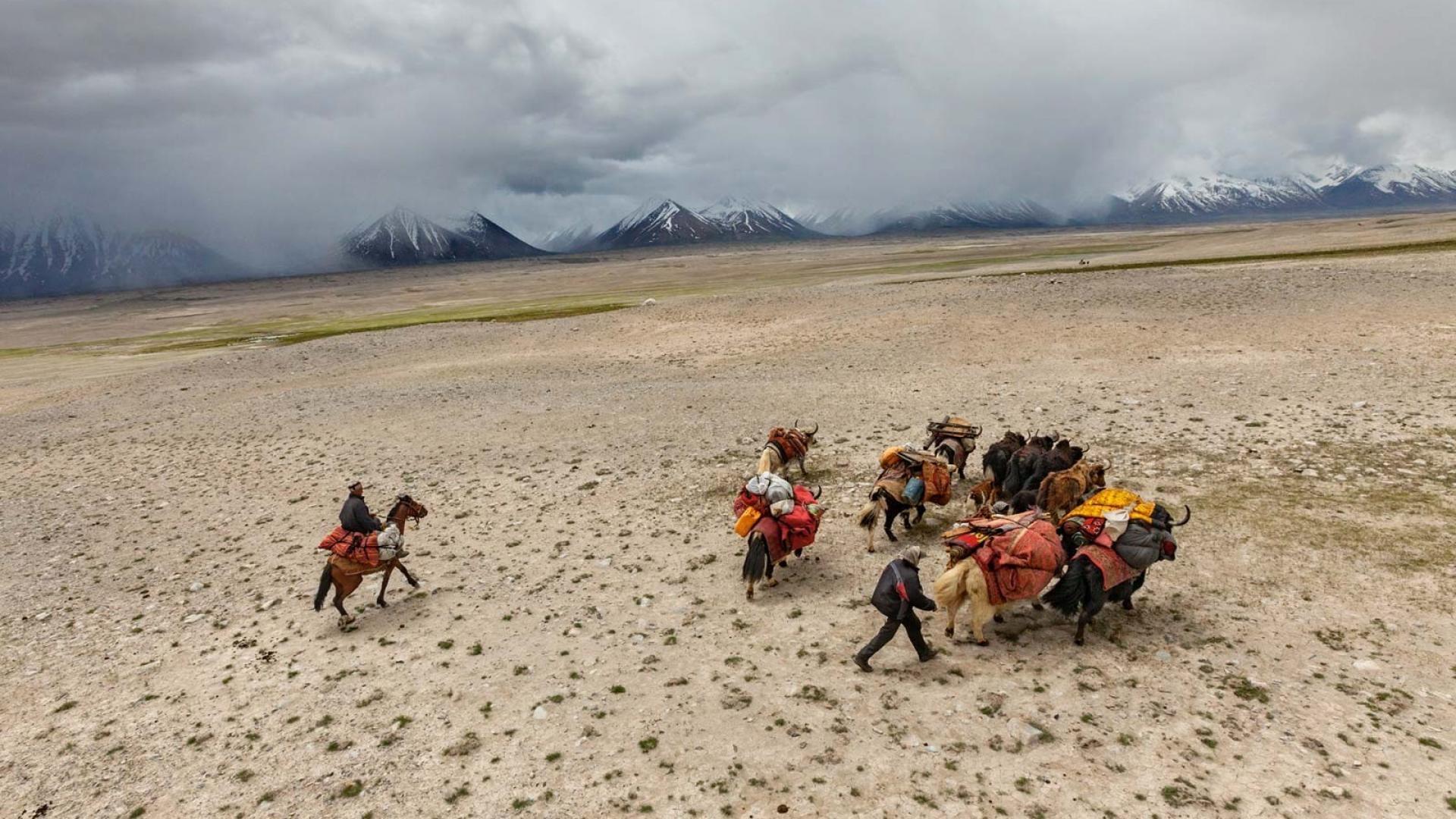 Nature national geographic nomad corridor yak kyrgyzstan steppe