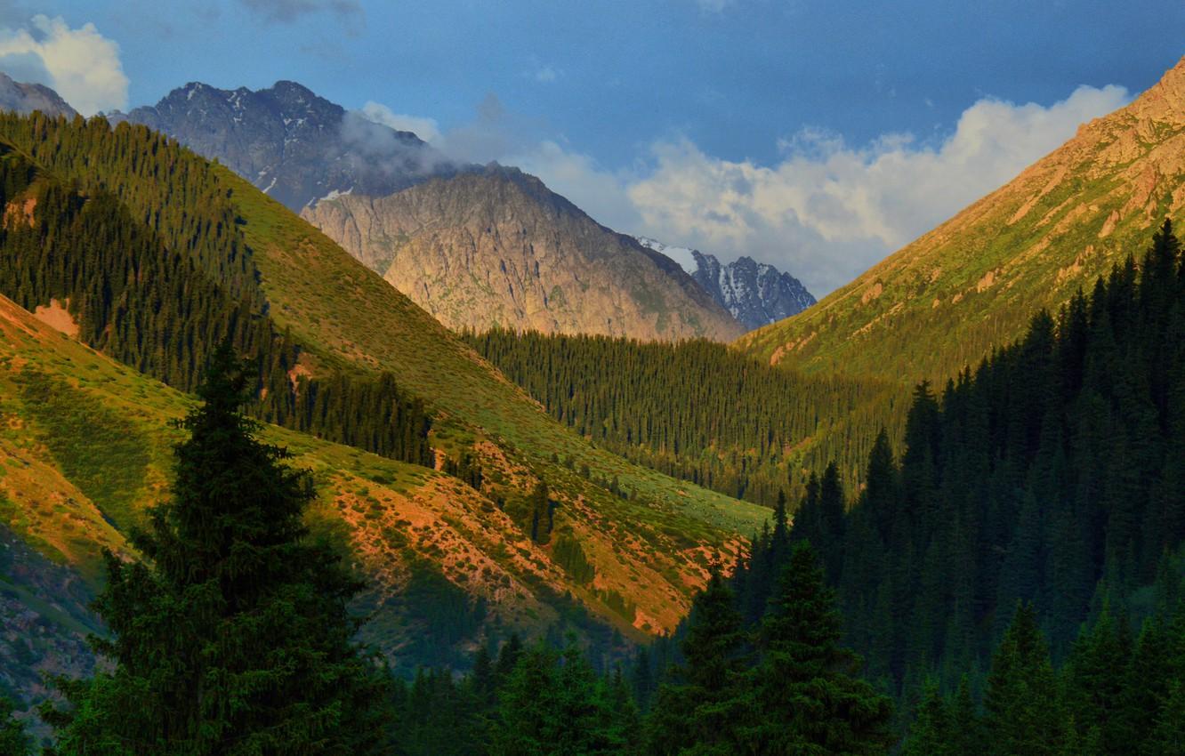 Wallpaper Trees, Mountains, Gorge, Kyrgyzstan, Kyrgyzstan, Jety Oguz
