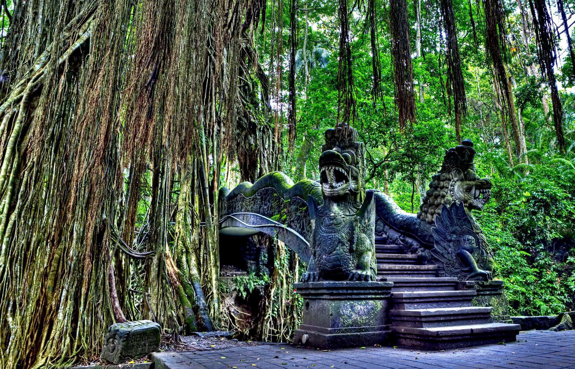 Ubud Wallpapers Wallpaper Cave