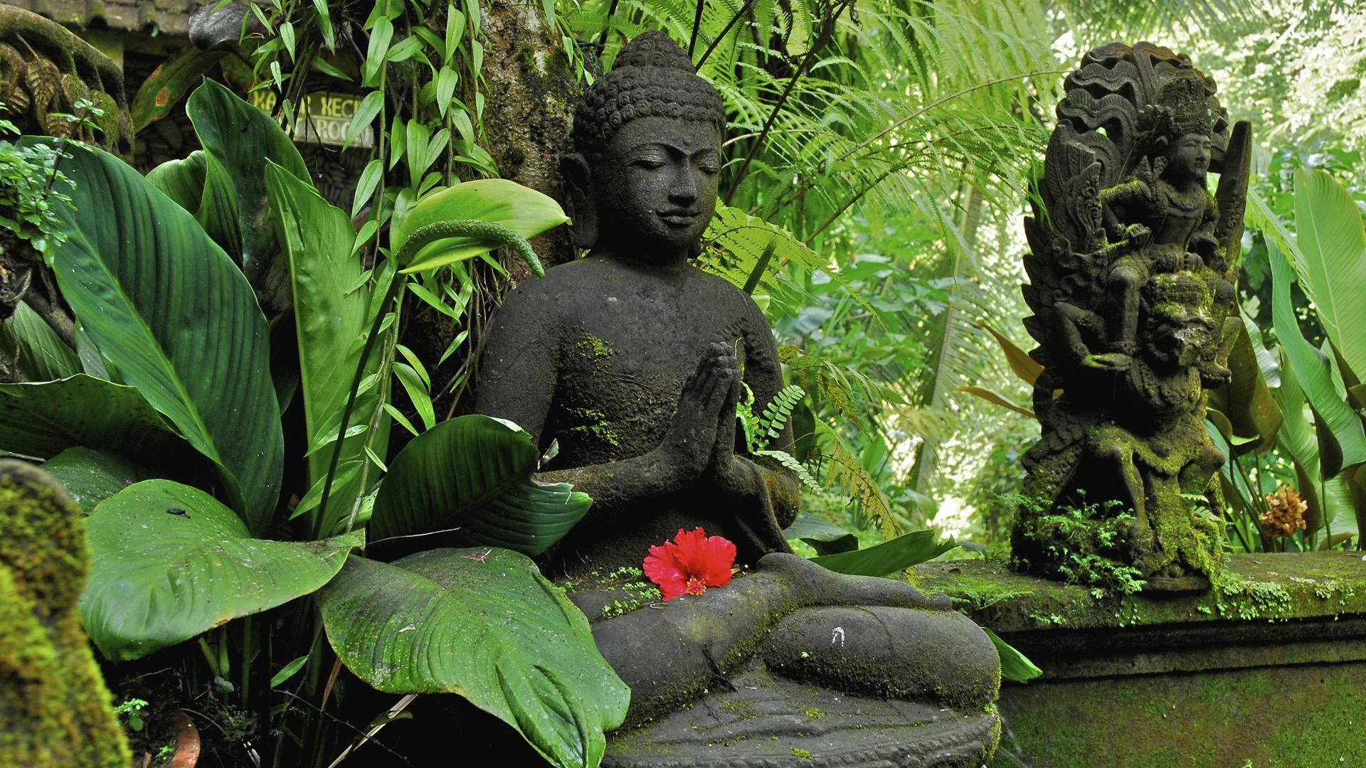 wallpaper Buddha, Ubud, Bali, Indonesia HD, Widescreen, High