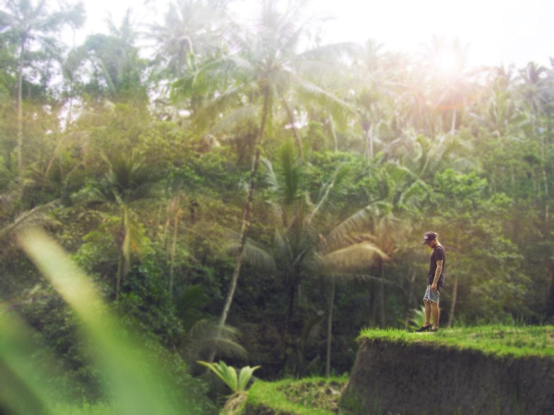 Ubud, Indonesia Picture. Download Free Image