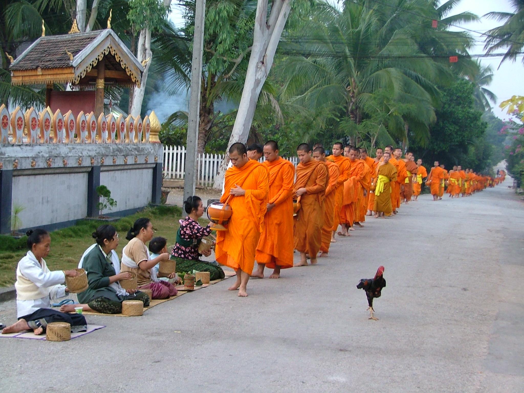 day Luang Prabang beauties