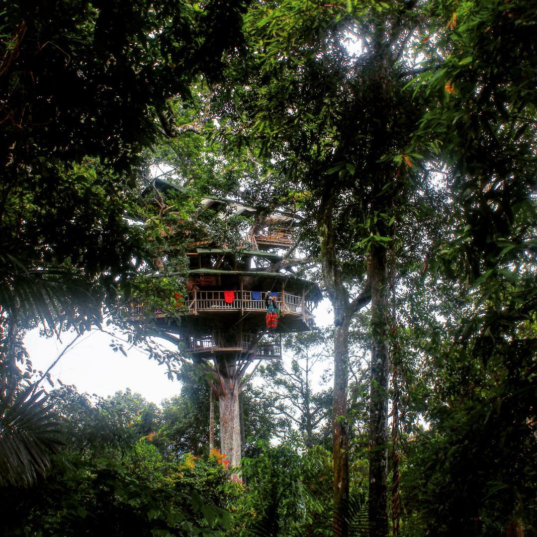 Bokeo Nature Reserve Wallpapers - Wallpaper Cave