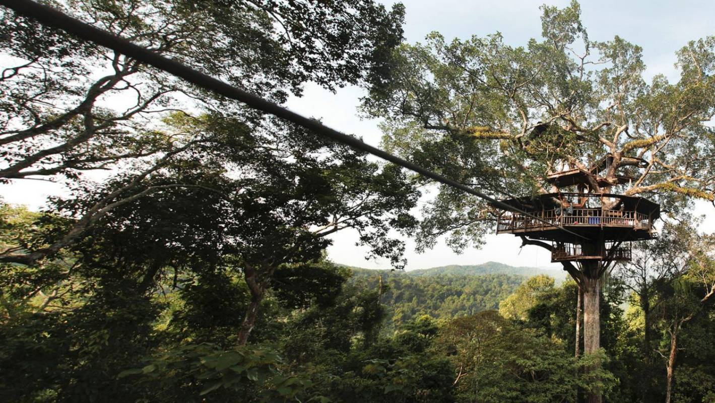 Bokeo Nature Reserve Wallpapers - Wallpaper Cave