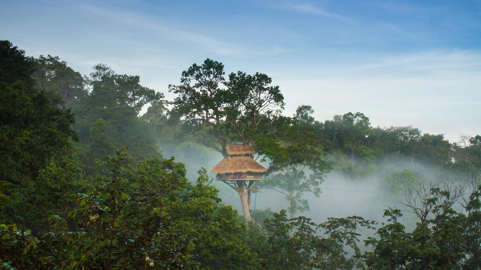 Bokeo Nature Reserve Wallpapers - Wallpaper Cave