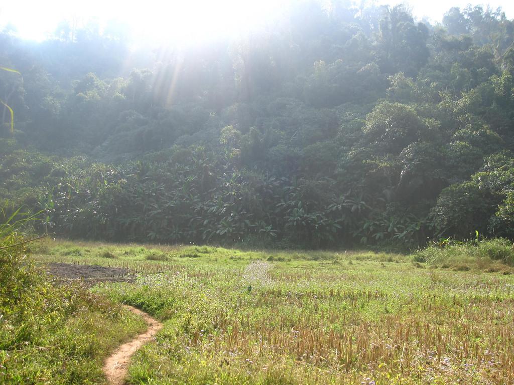 Bokeo Nature Reserve Wallpapers - Wallpaper Cave