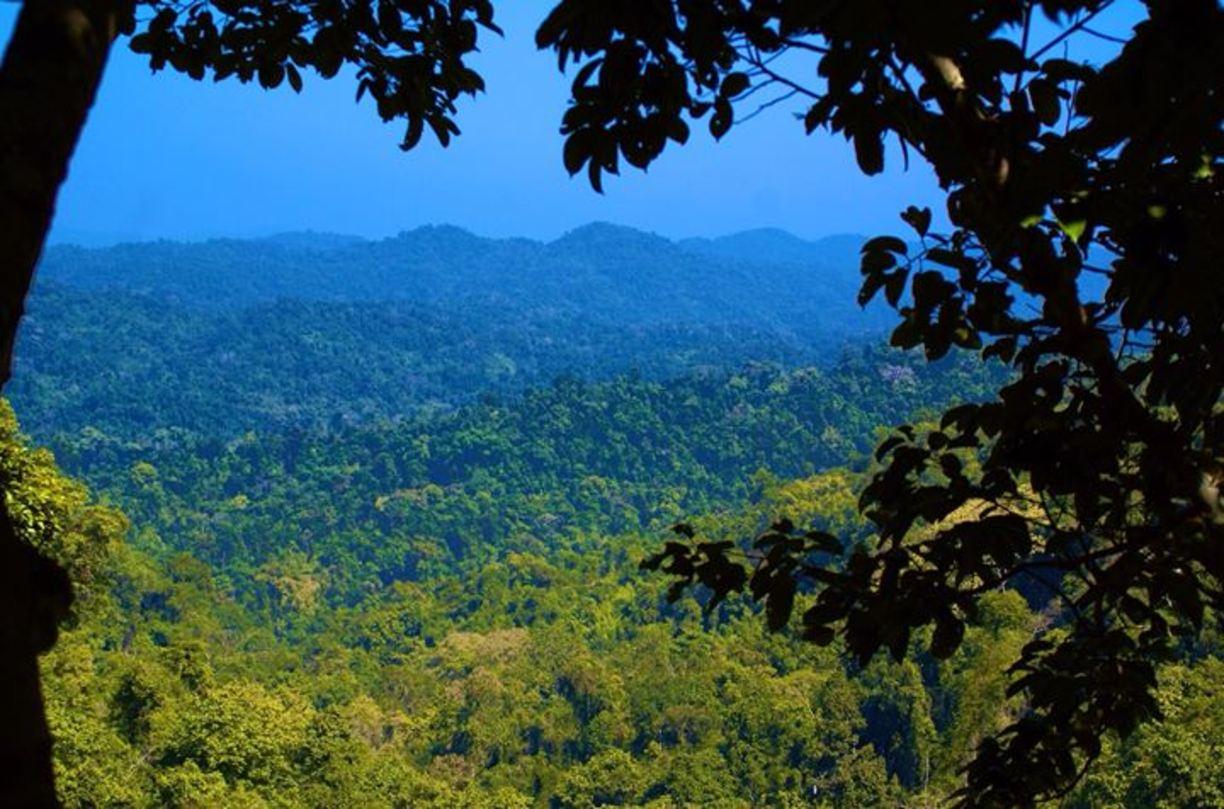Bokeo Nature Reserve Wallpapers - Wallpaper Cave