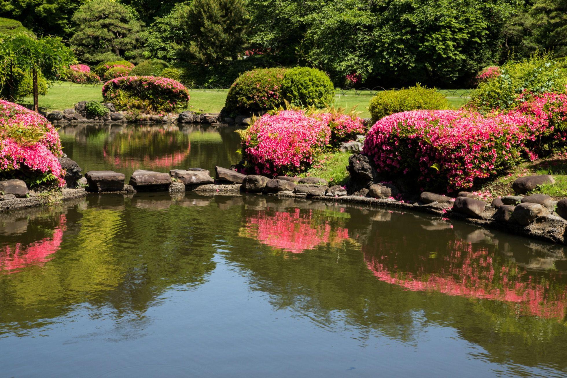 Beautiful Japanese Gardens of Japanese Garden