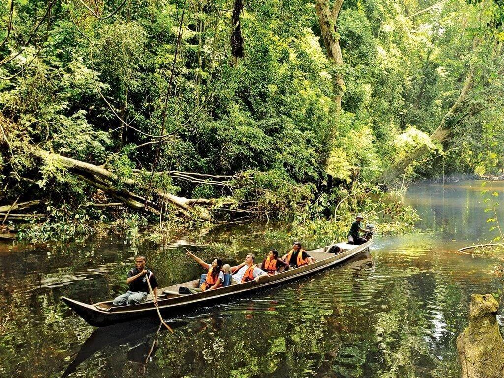 Taman Negara of the World's Oldest Tropical Rainforest