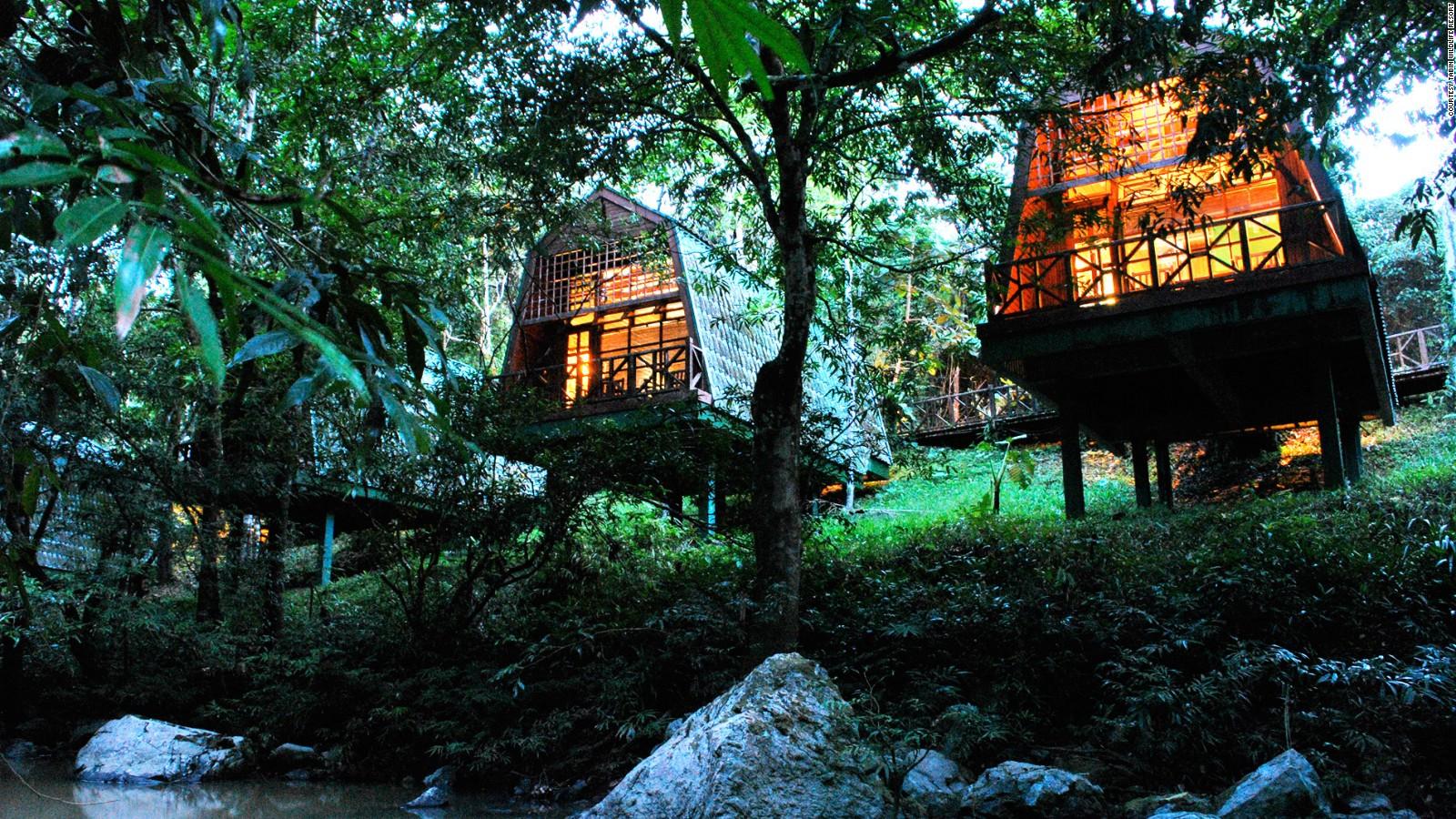 rainforest resorts in Malaysia you should check out