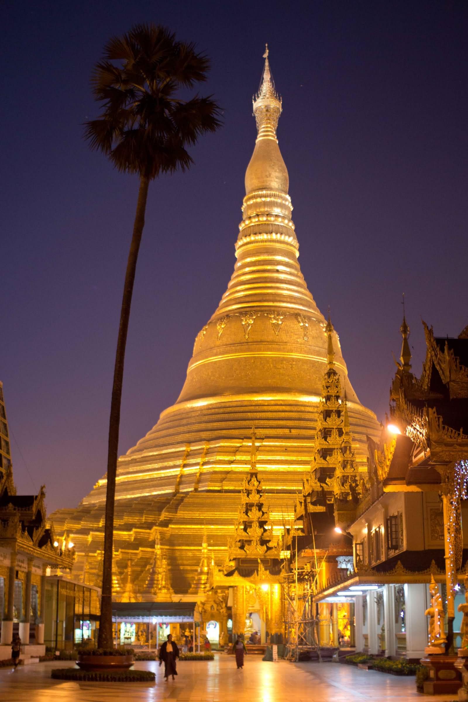 Incredible Night View Image And Photo Of Shwedagon Pagoda, Myanmar