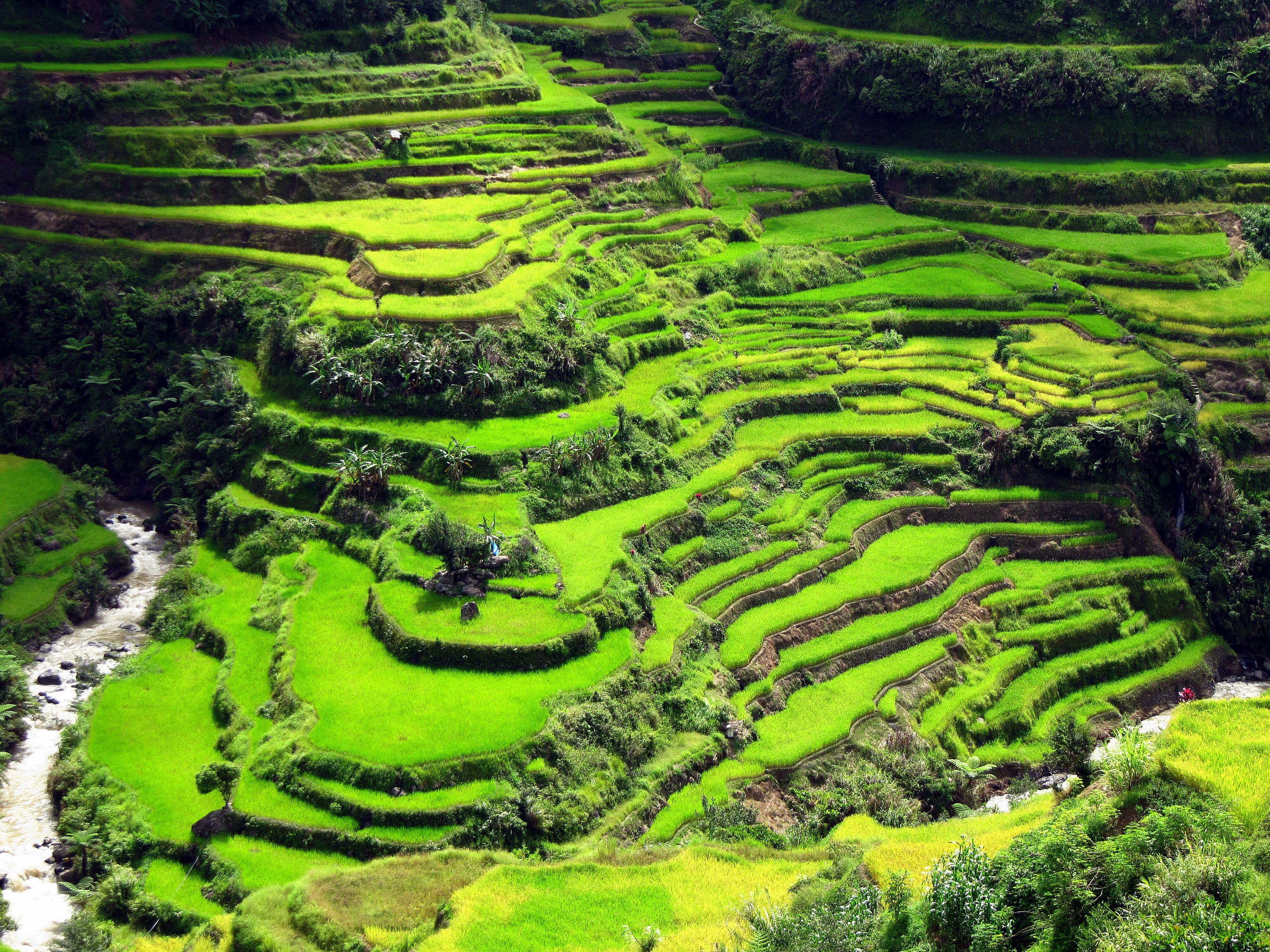 Banaue Wallpapers Wallpaper Cave