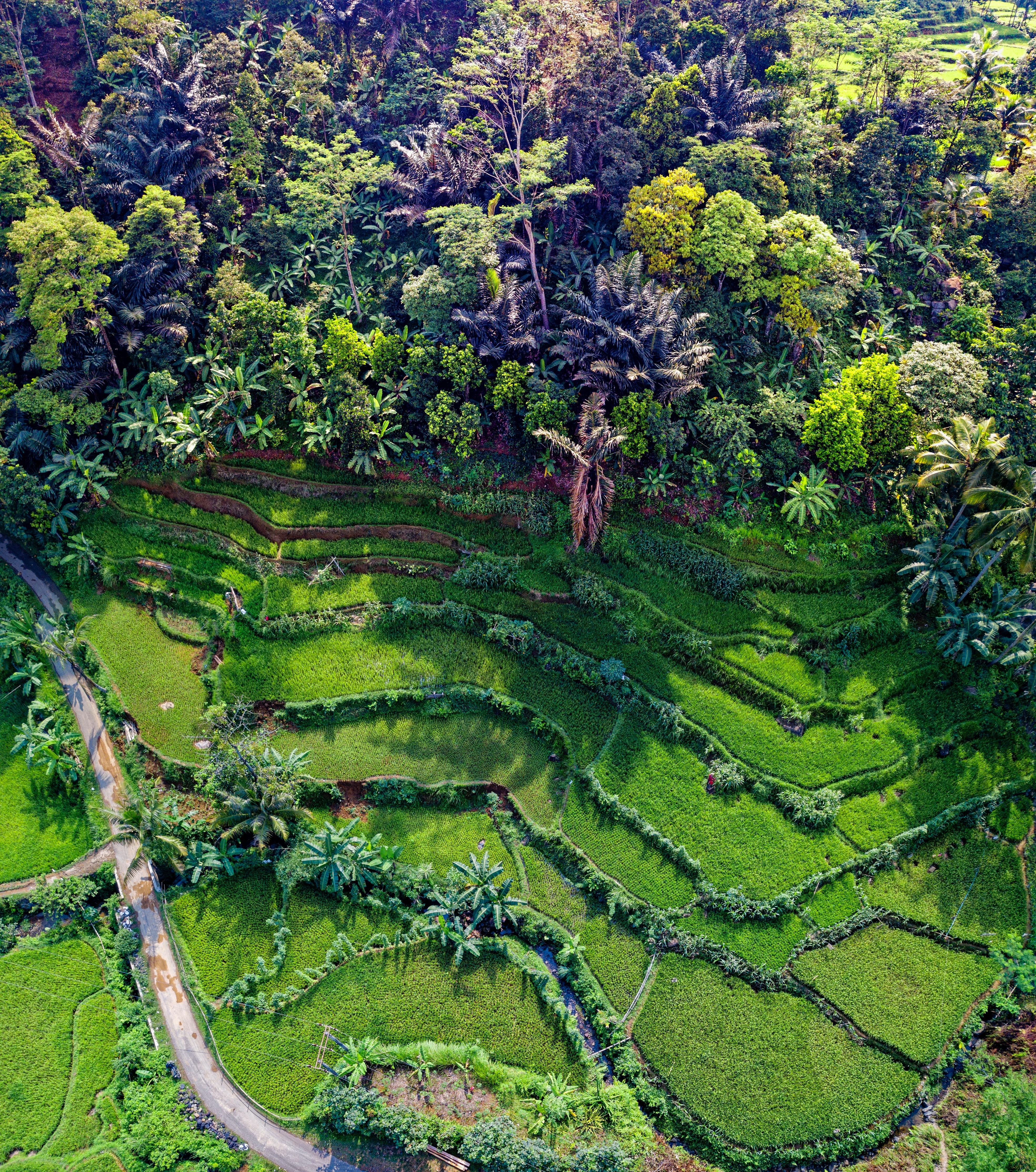 Banaue Rice Terraces, Philippines · Free
