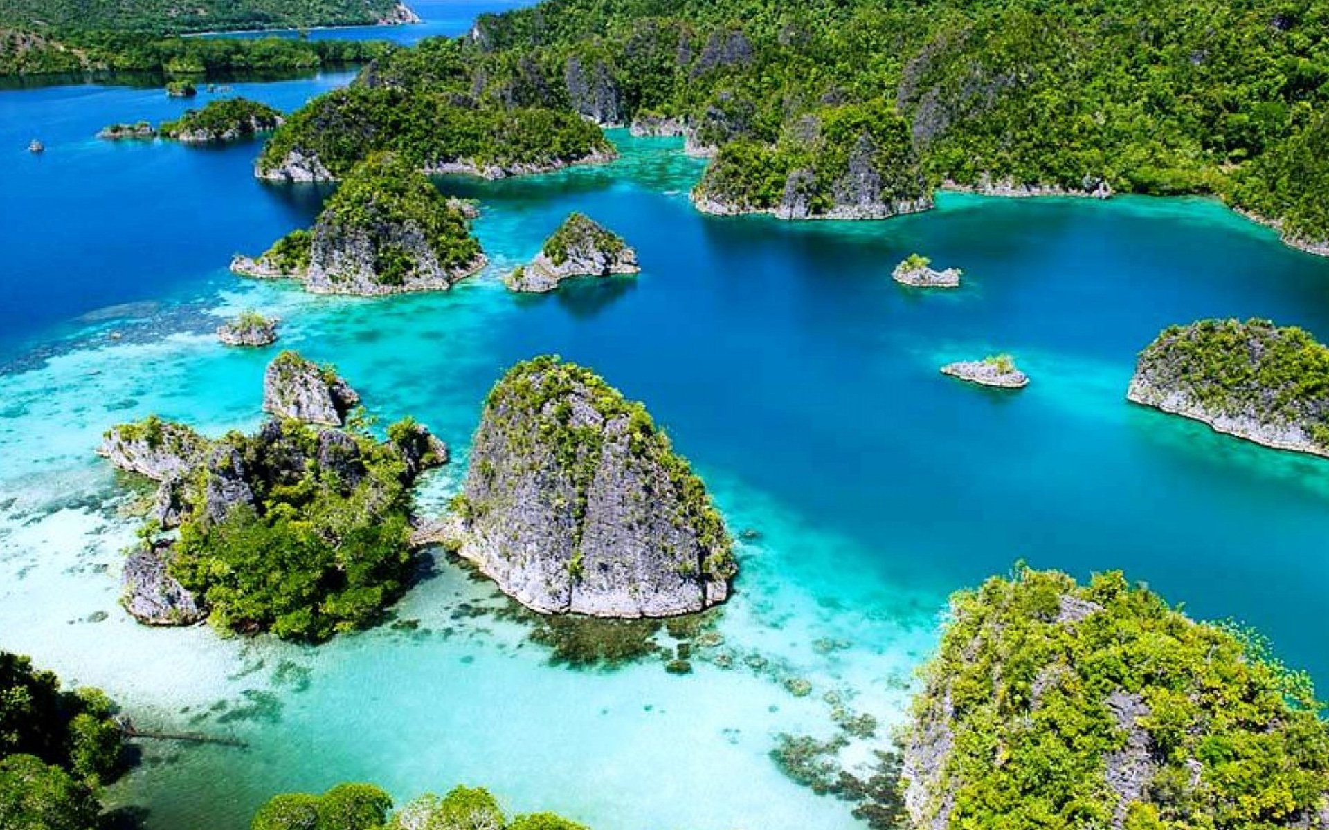Raja Ampat, Indonesia Tropical Islands With Green Vegetation, Forest