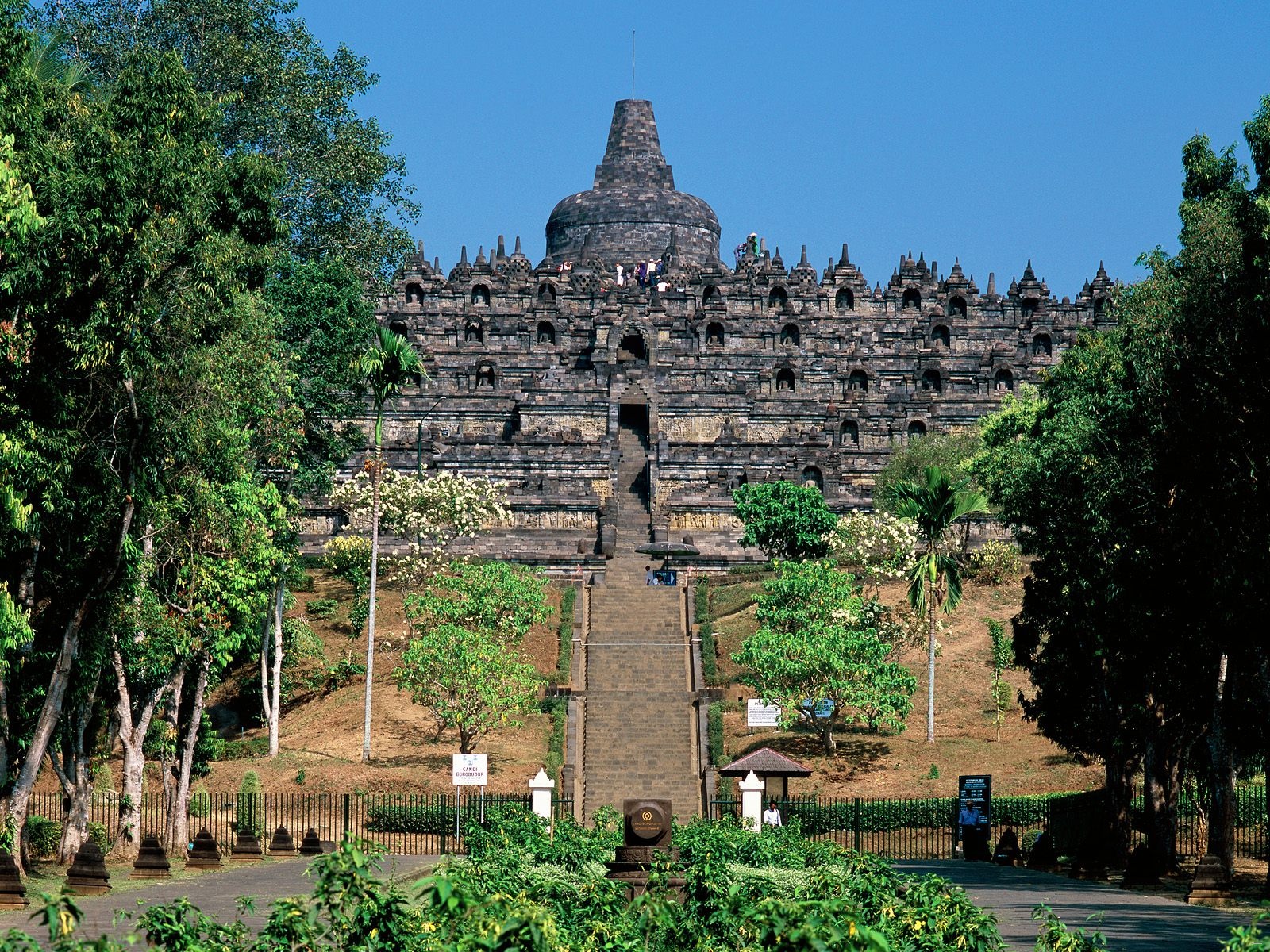 Borobudur Temple Indonesia Tourism Picture 535 Wallpaper