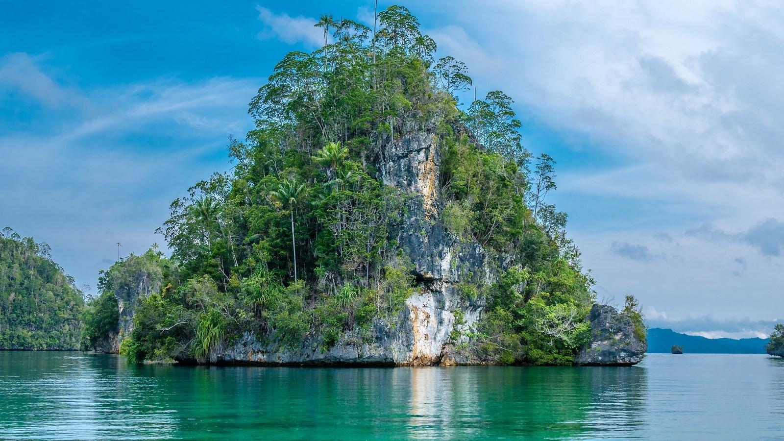RAJA AMPAT Yacht Charter. The Complete 2019 & 2020 Guide