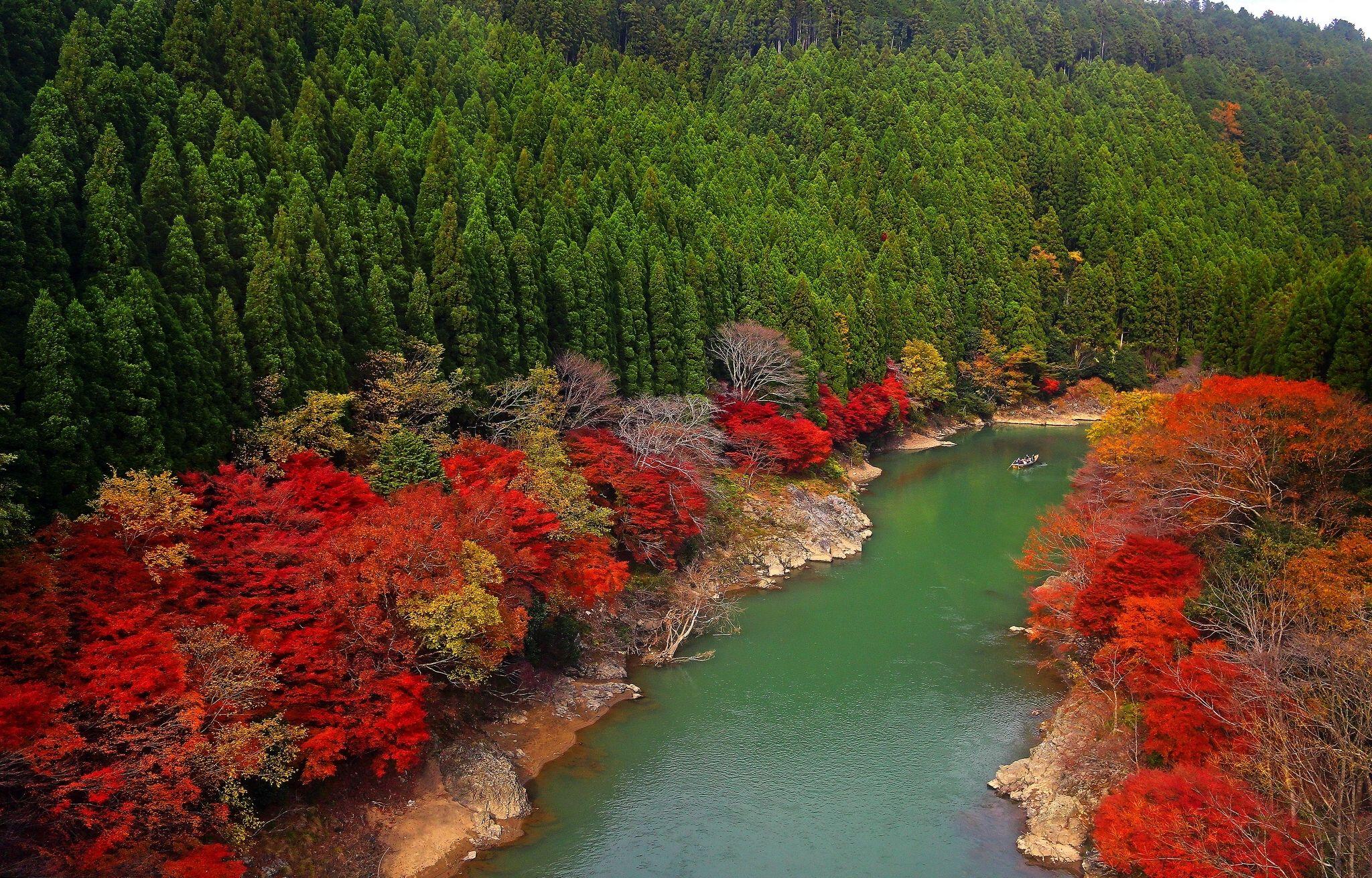 Wallpaper Arashiyama, Kyoto, Japan, Oi River, Япония Desktop Picture