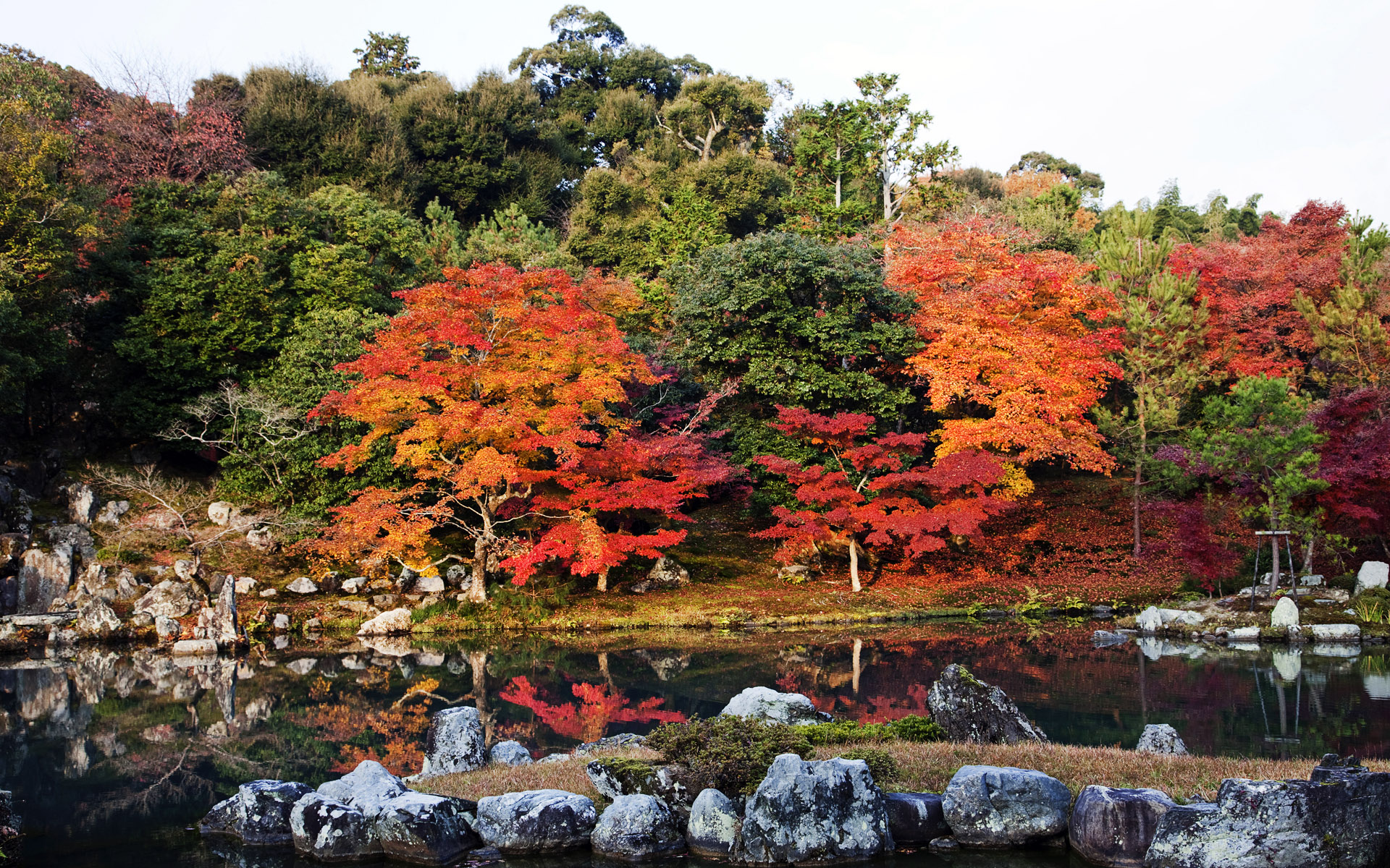 Autumn Leaves In The Landscape Garden, Tenry? Shiseizen Ji Temple