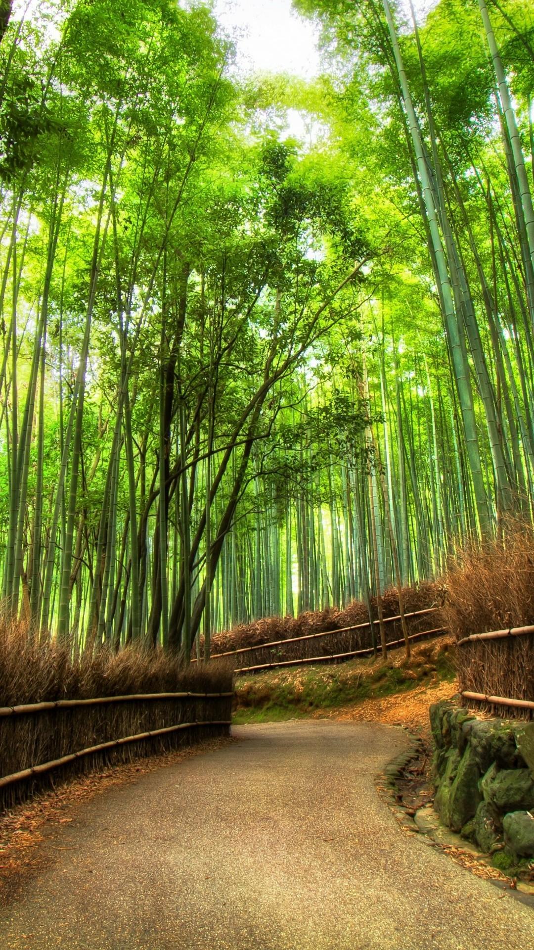 Arashiyama Bamboo Grove, Japan 4K UltraHD Wallpaper