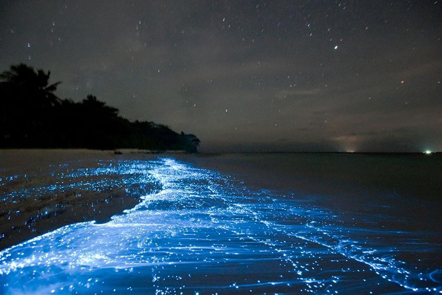 Maldives' Vaadhoo Island and its Sea of Stars make the perfect