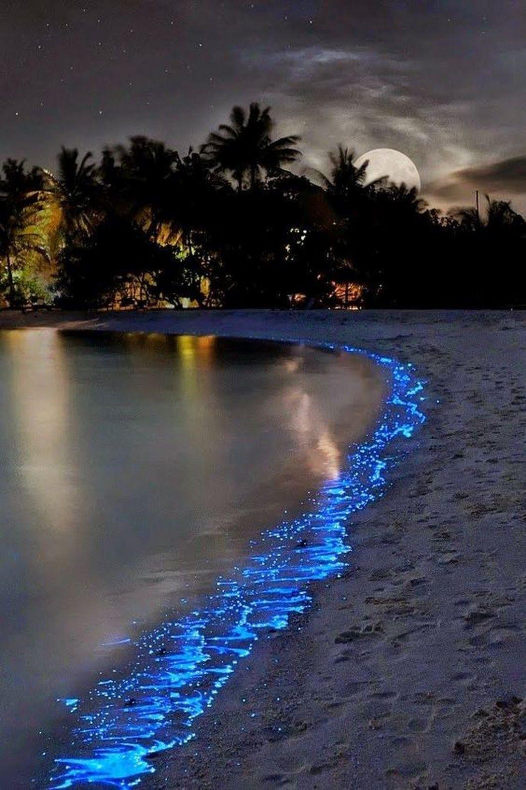 Sea of Stars Island. Maldives. My dream vacation spot