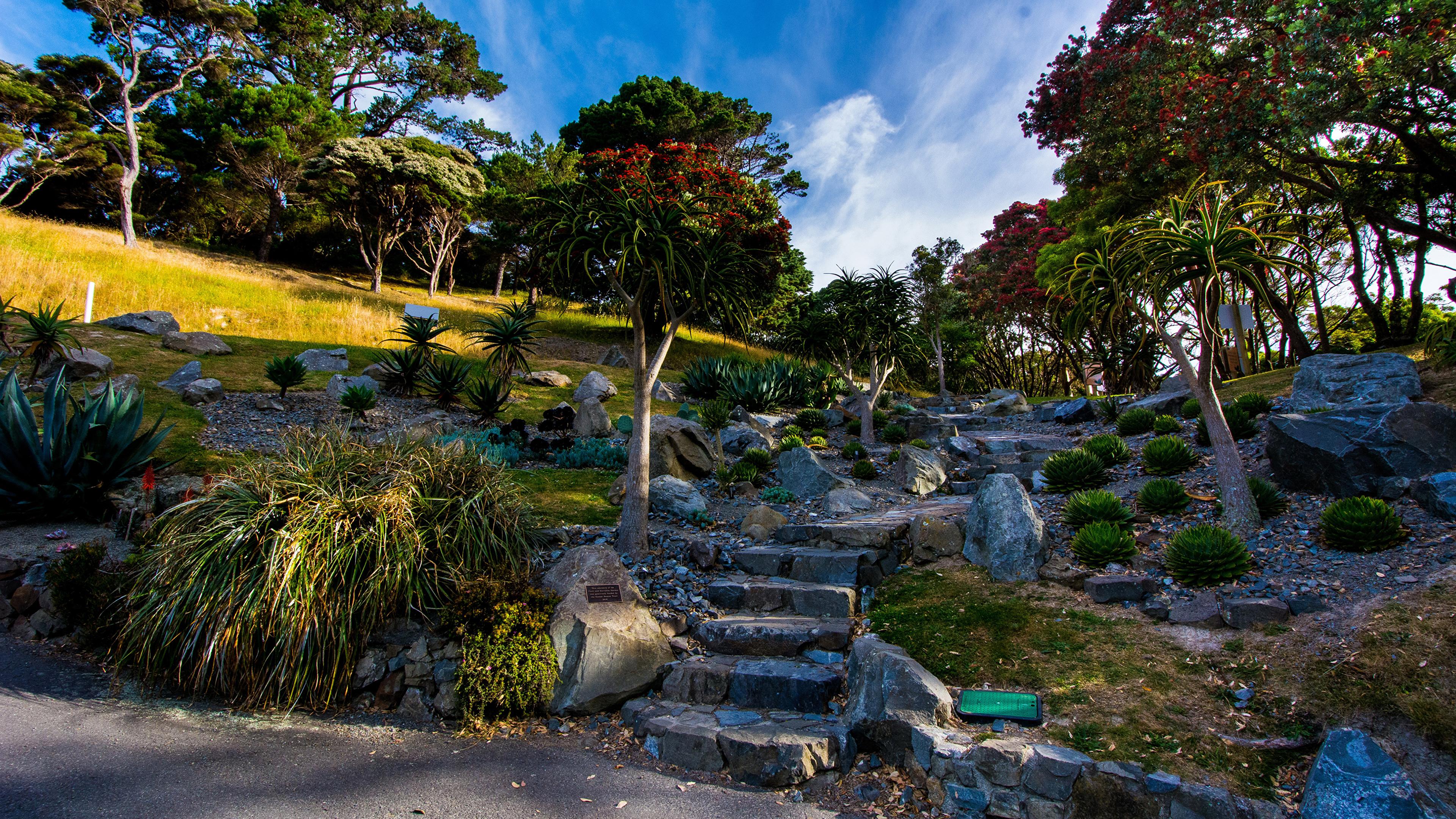 Image New Zealand Wellington Botanical garden Nature 3840x2160