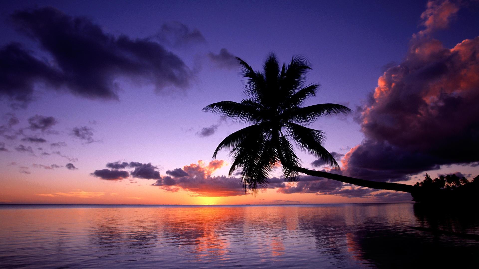 Purple Sunset in French Polynesia Wallpaper