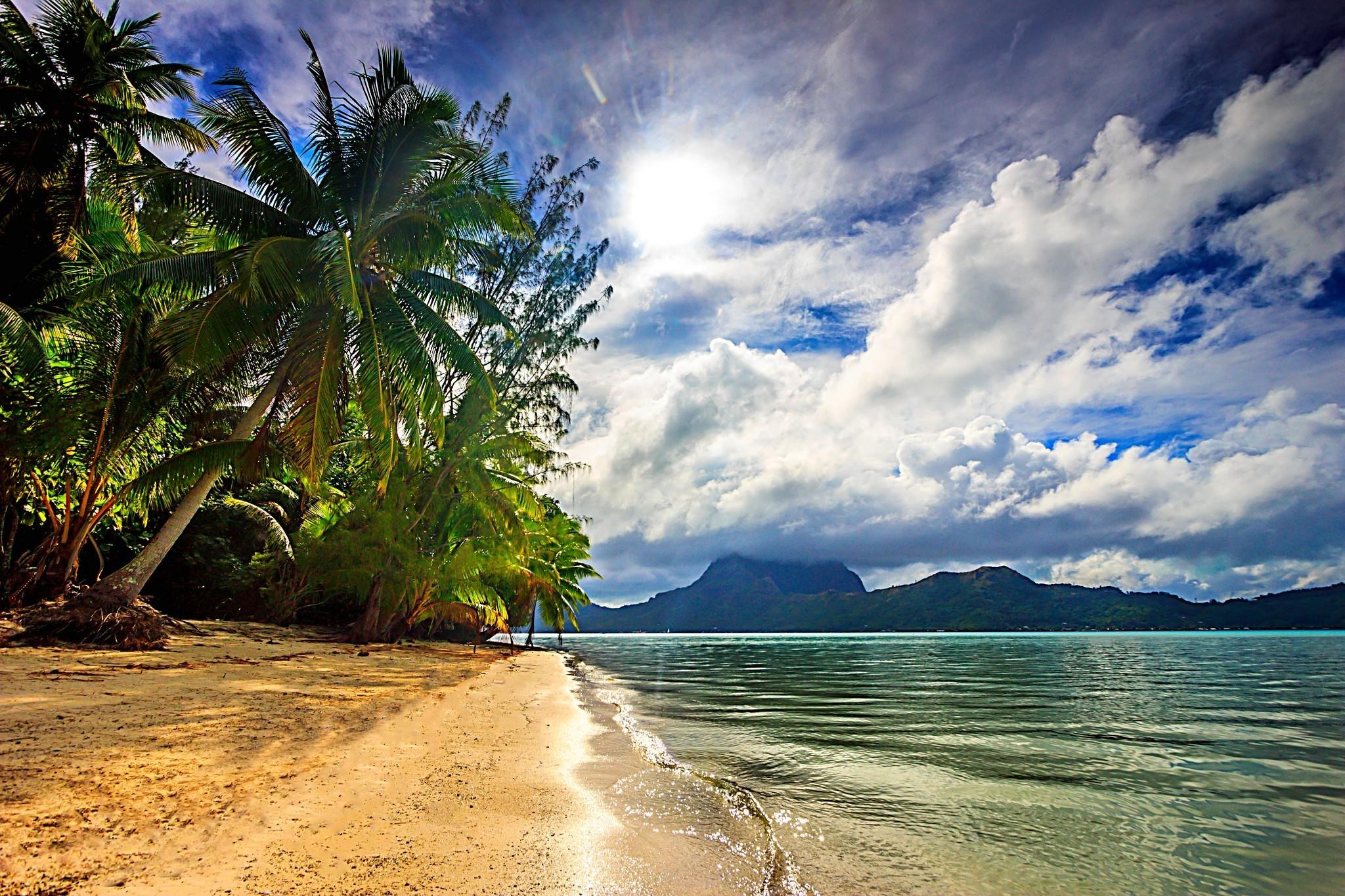 nature, Landscape, Beach, Sea, Palm Trees, Clouds, Island, Sunlight