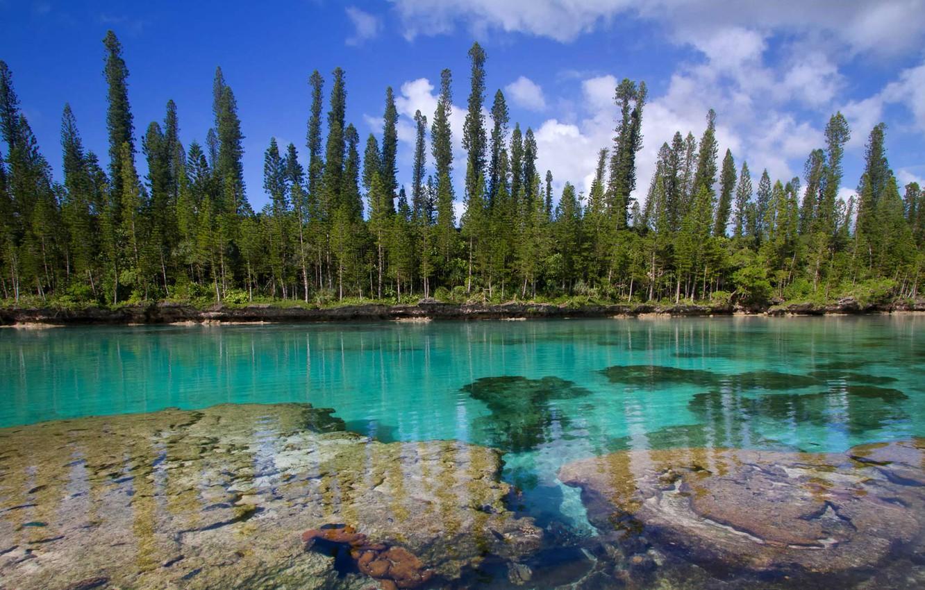 Wallpaper The Pacific ocean, New Caledonia, Isle of pines image