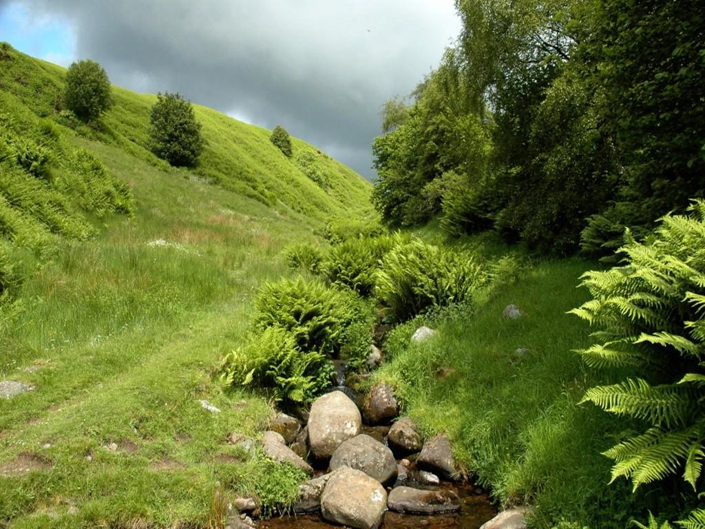 Caledonia Tag wallpaper: Stream Grass Green Rock Sky Cloudy