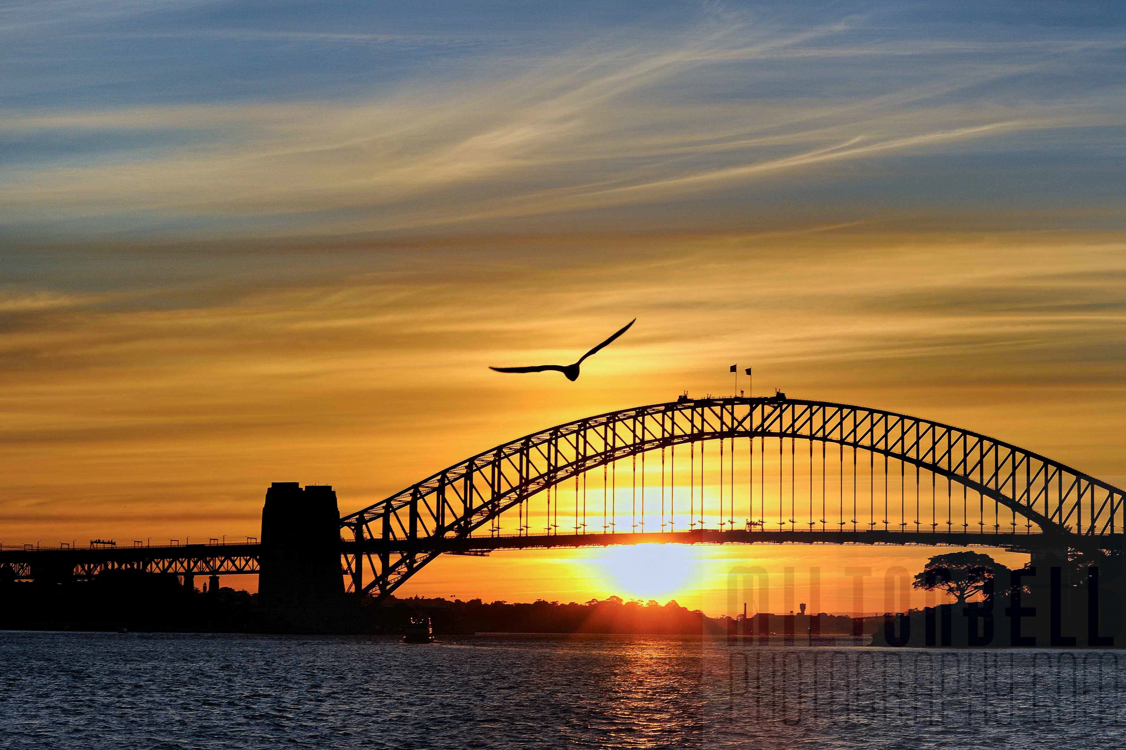 Beautiful Sunset at Sydney Harbour Bridge Australia 4K