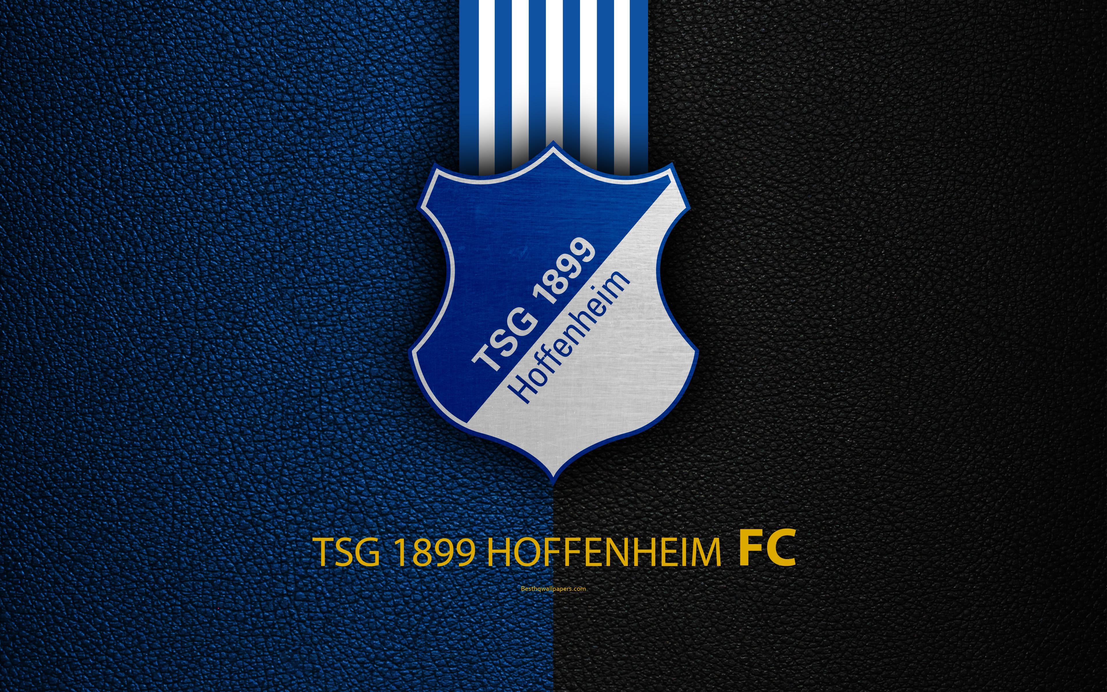 Download wallpaper TSG 1899 Hoffenheim, FC, 4k, German football