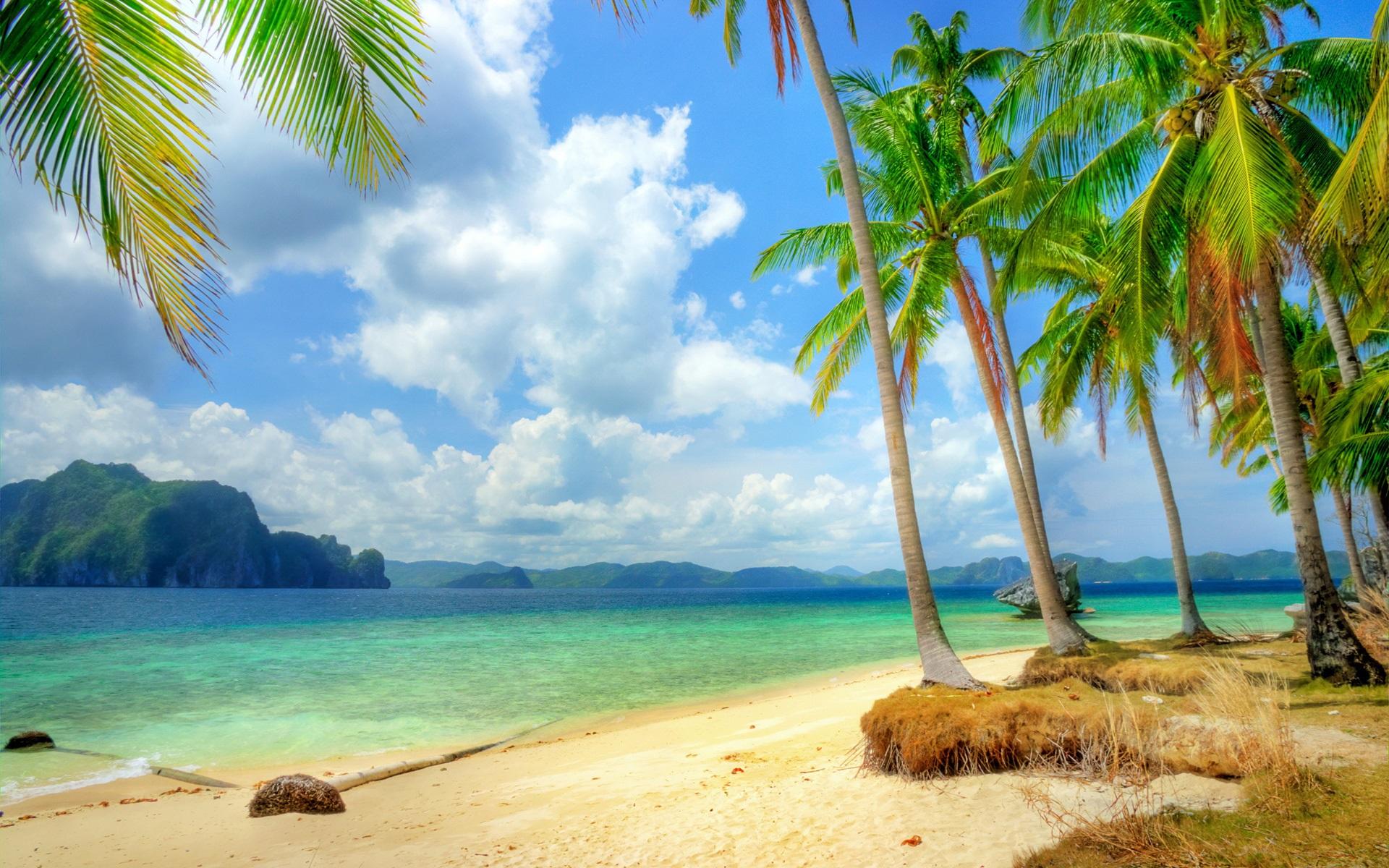 Wallpaper Tropical coast, beach, coast, sea, blue, palm trees